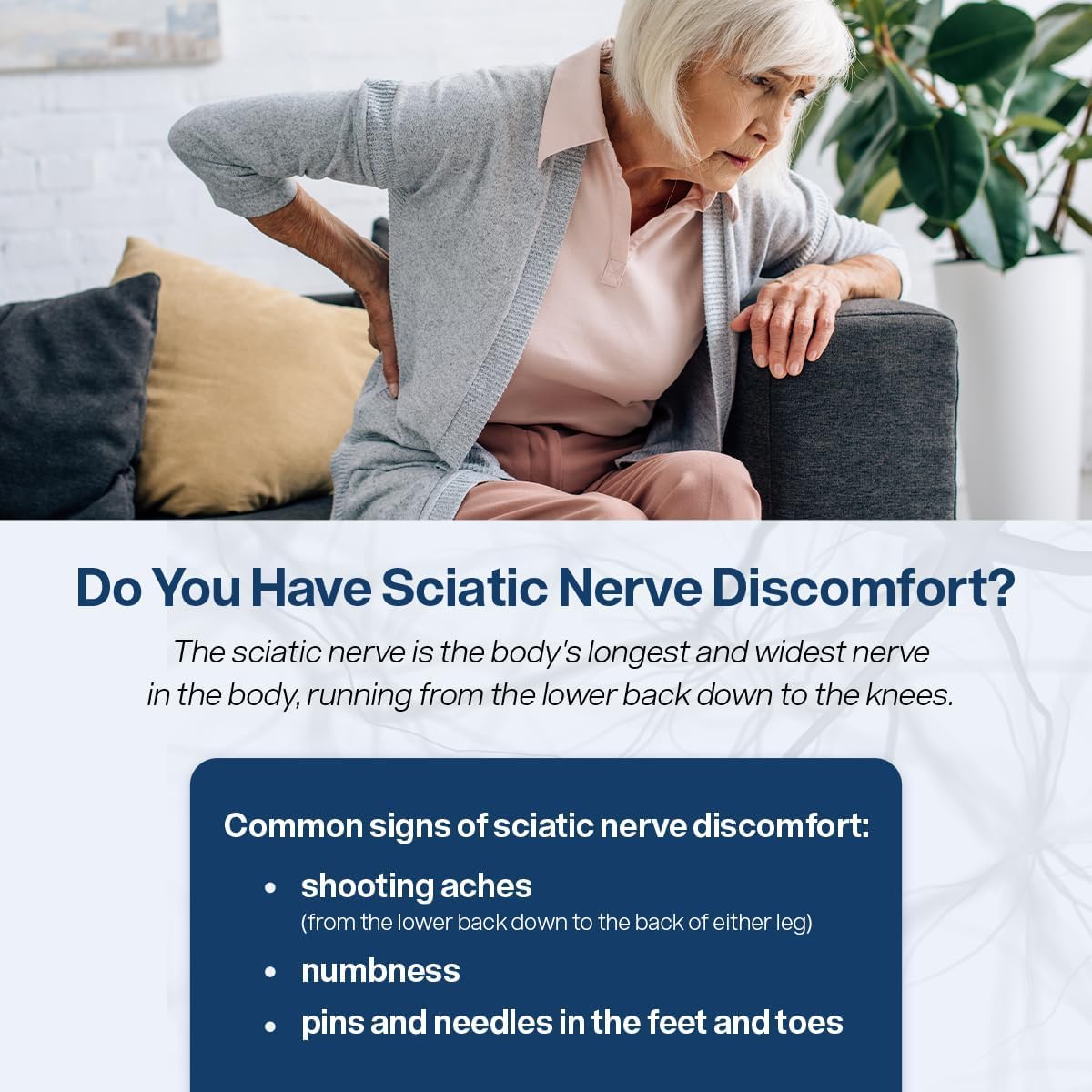 Suplemento Apoyo a la salud del nervio ciático 120 und