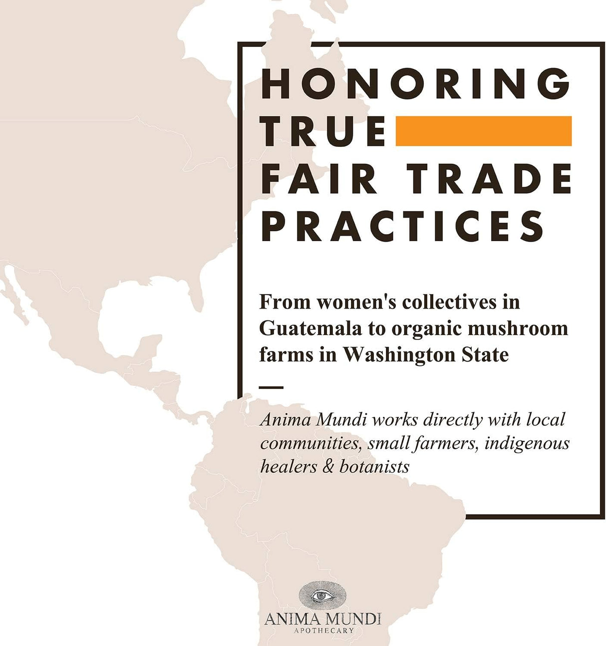 Suplemento adaptogénico de setas, Anima Mundi, gotas de 2oz