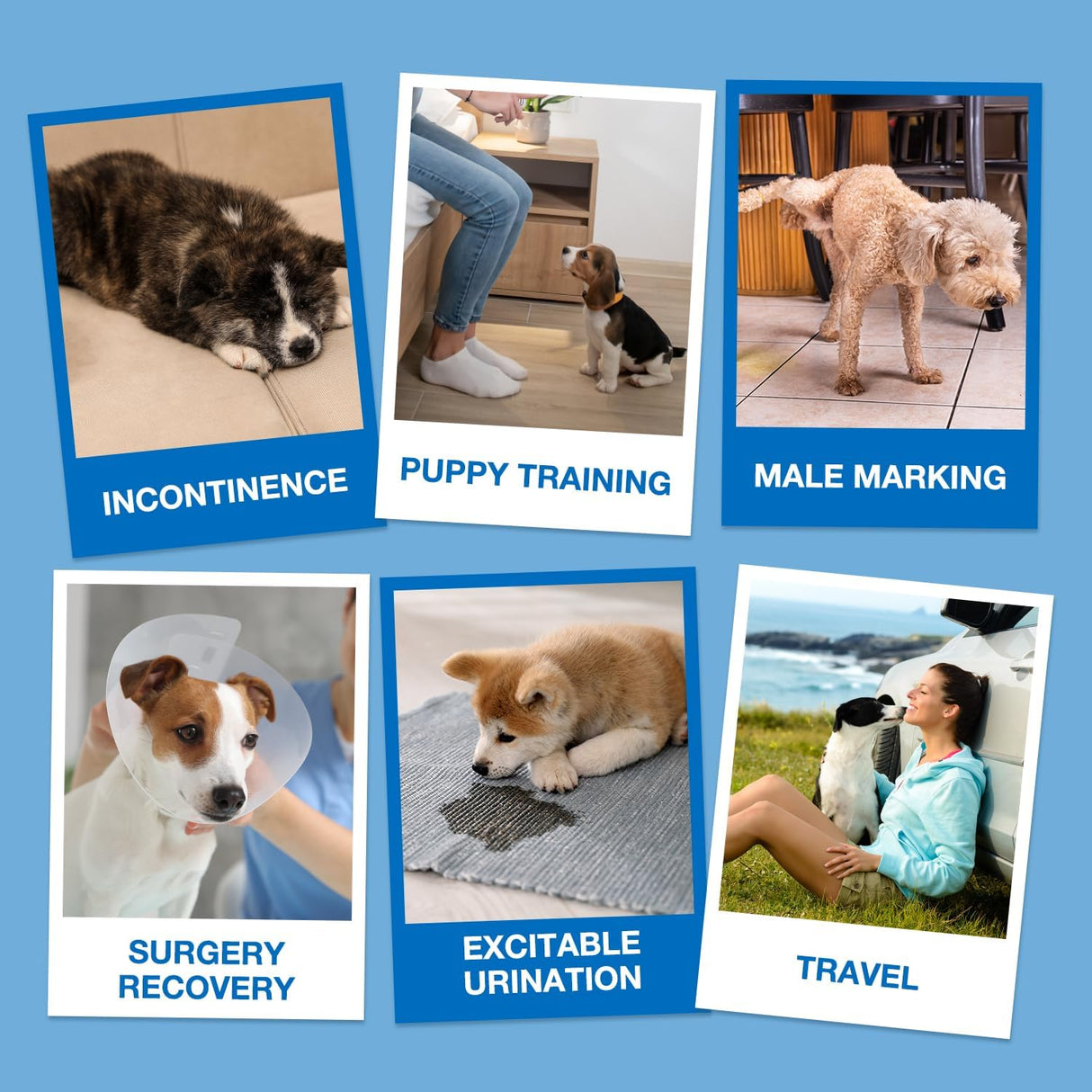 Dono Pañales desechables para perros machos,20 unidades