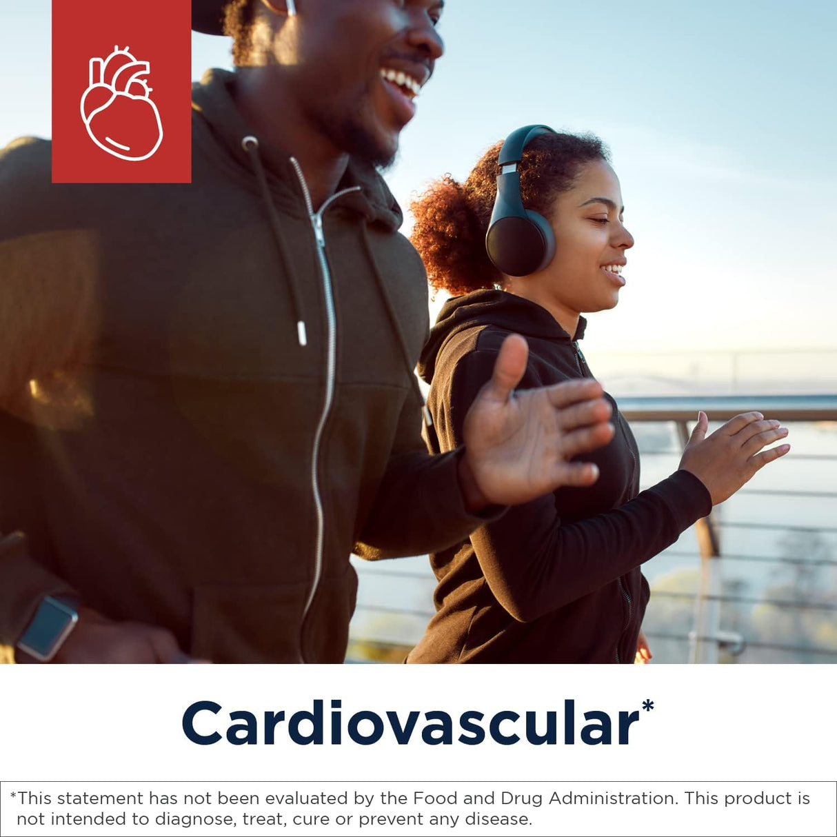 Suplementos Alimenticios Arroz de levadura roja