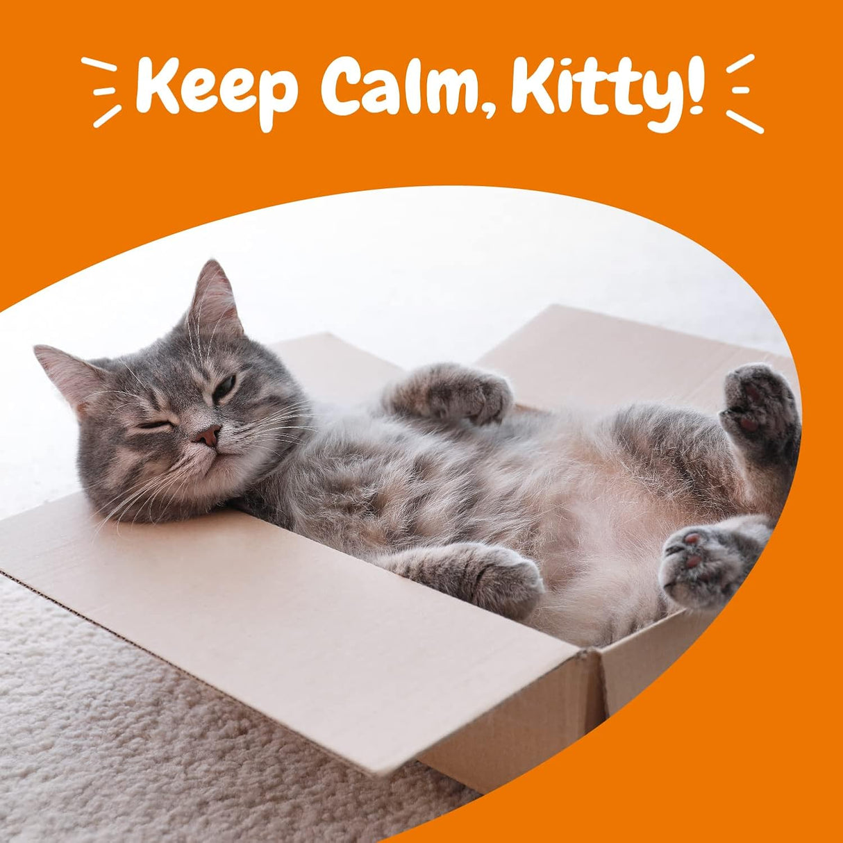 Suplementos para gatos Apoya el estrés