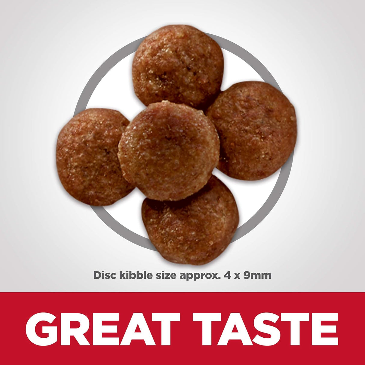 Alimento para Perros adultos seco receta de pollo