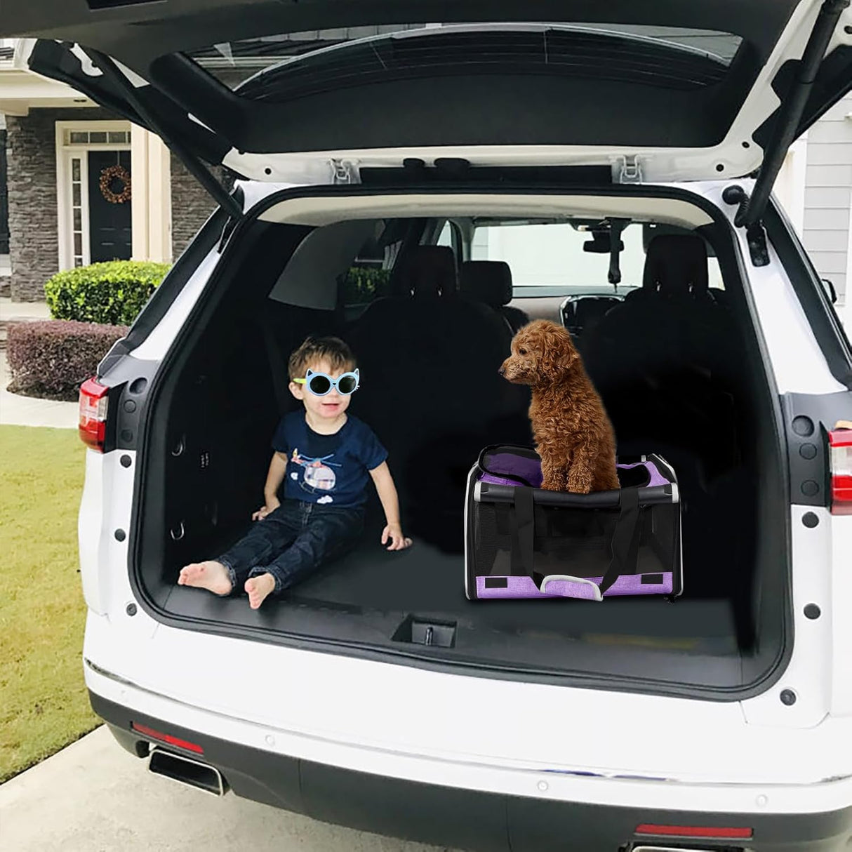 Transportin Suave para Perro Yorkie - Ventilado - 12lb