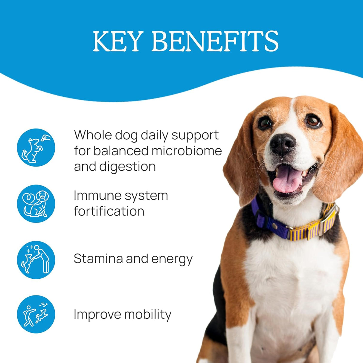 Suplemento en Polvo de Extracto de Hongos para Perros