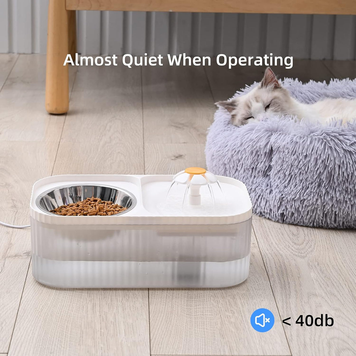 Comederos y Bebedero para gatos y cuenco de alimentos