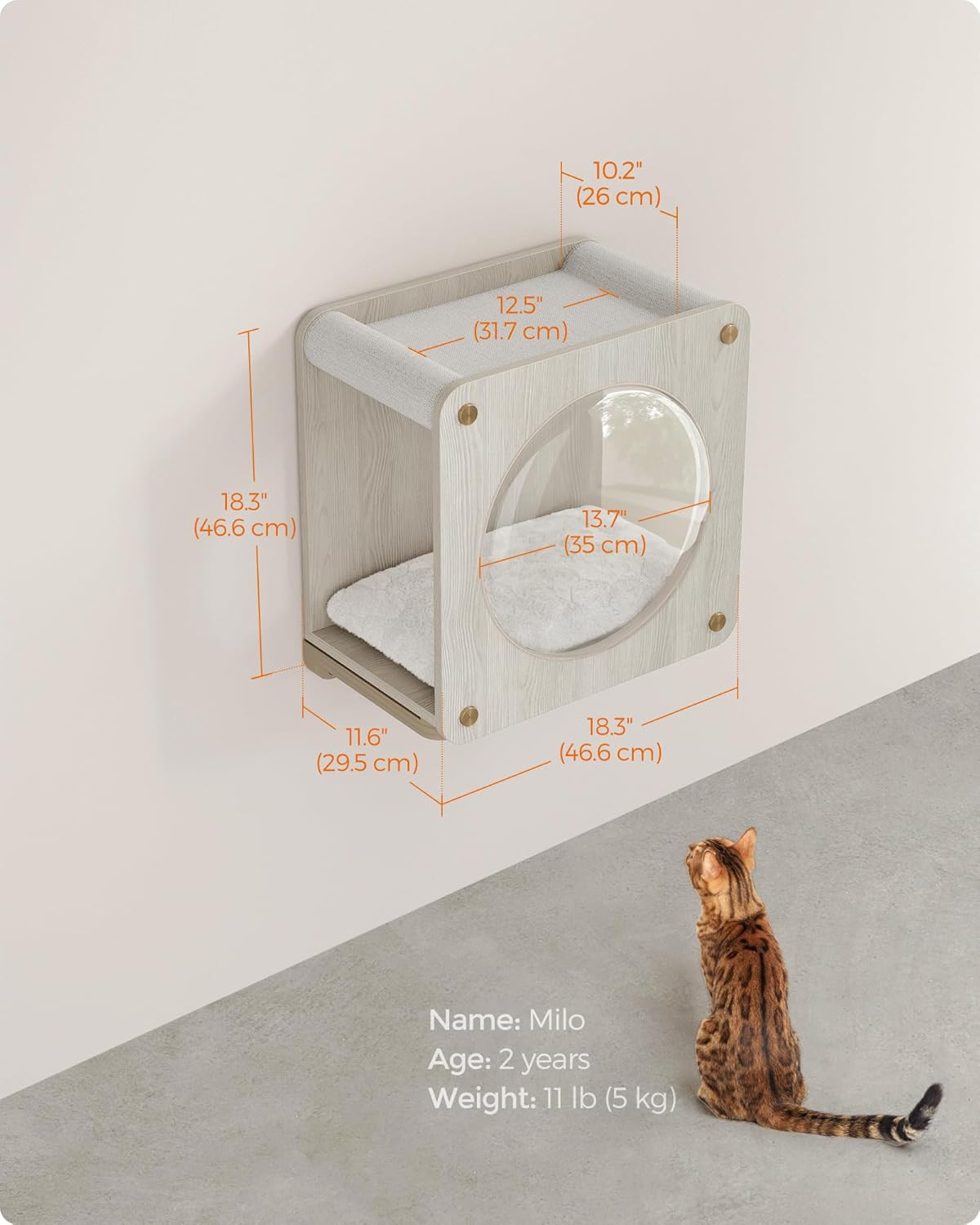 Cueva para Gatos Feandrea, Rincón con Hamaca y Ventana No.010