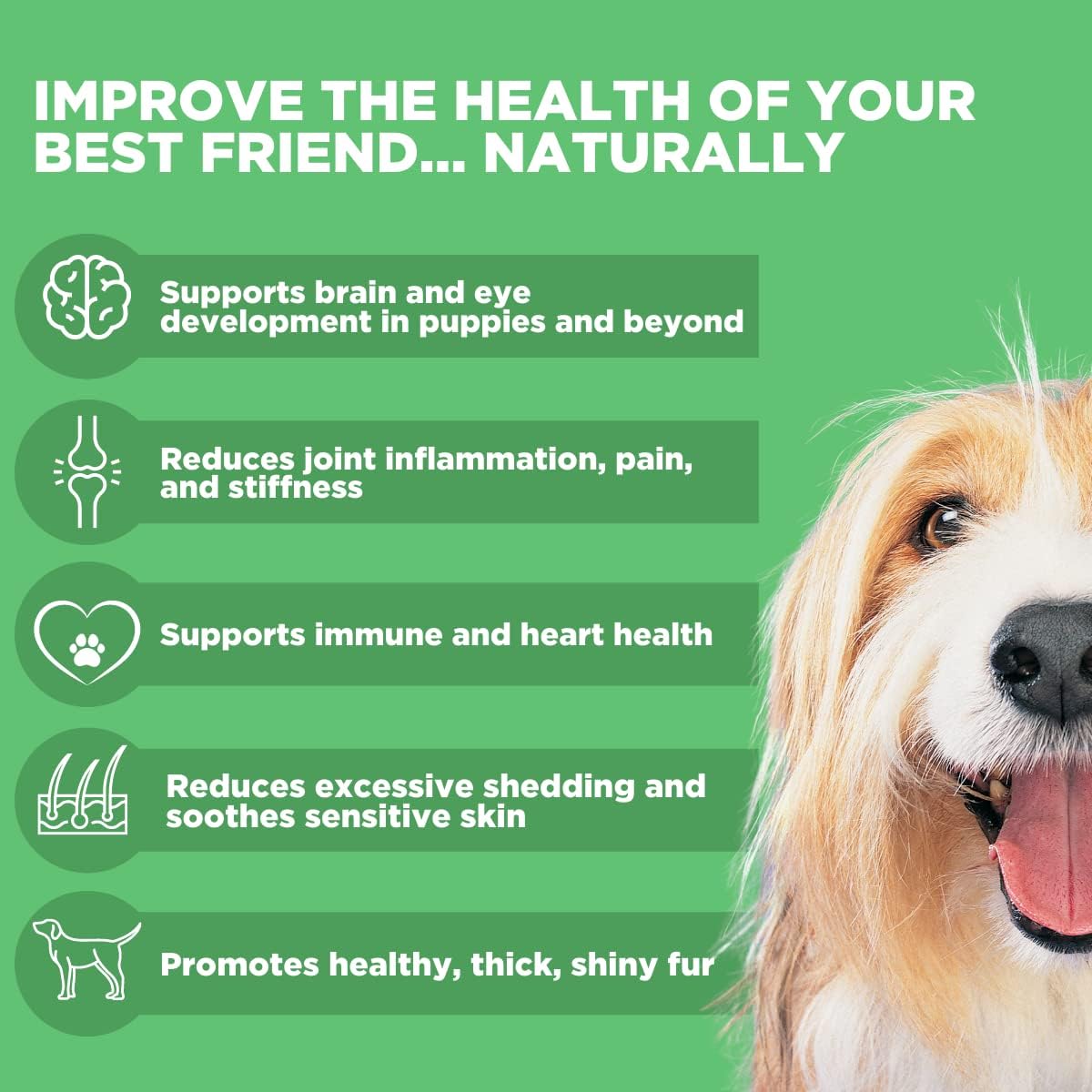 Vitaminas Aceite de pescado capturado salvaje para perros