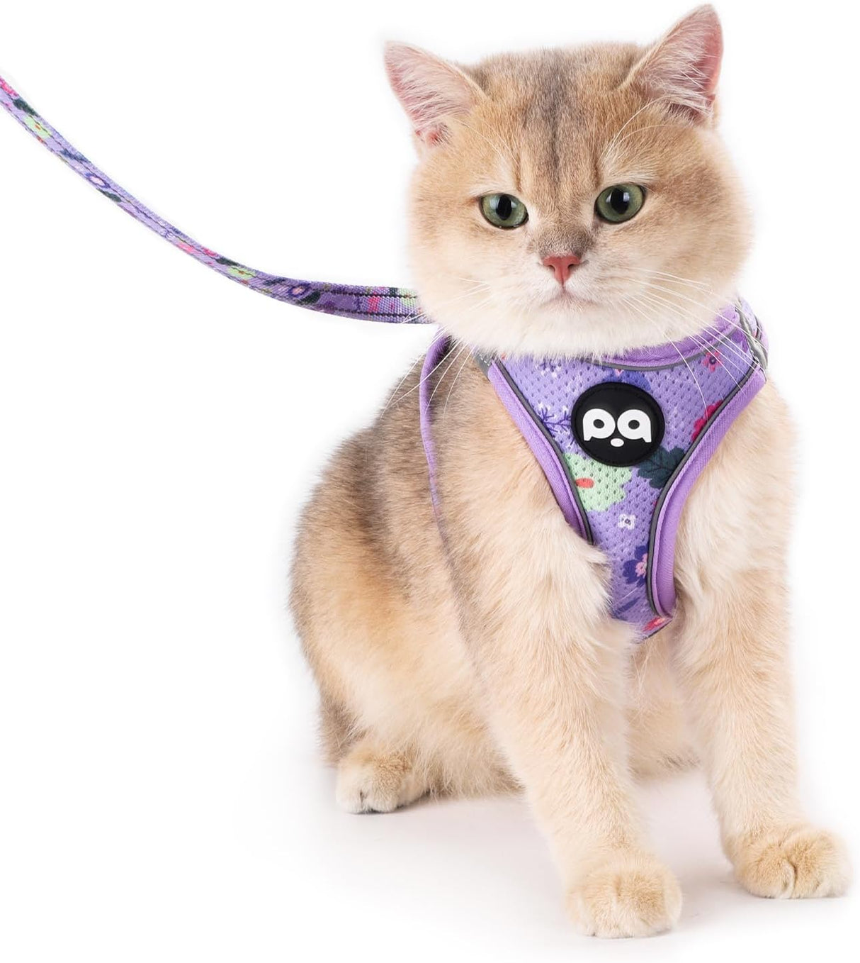 Arnés y Correa para Gatos, Ajustable, con Tiras Reflectantes
