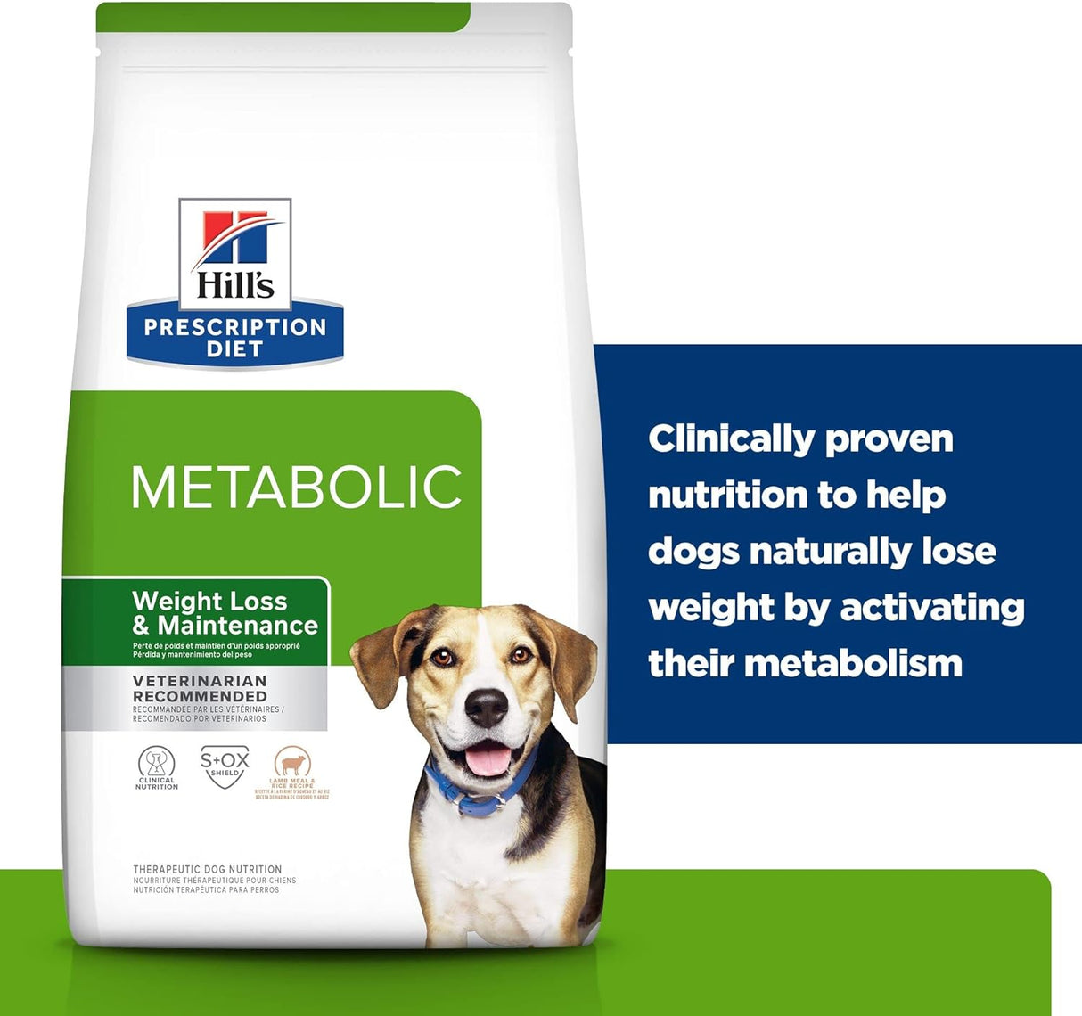 Alimento para Perros seco con fórmula de cordero y arroz