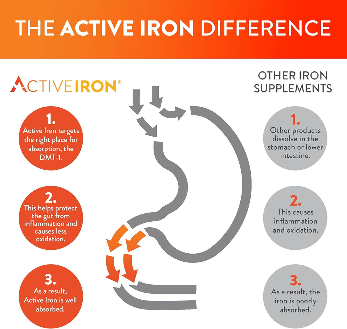 Suplemento de hierro activo de alta potencia absorción 60und