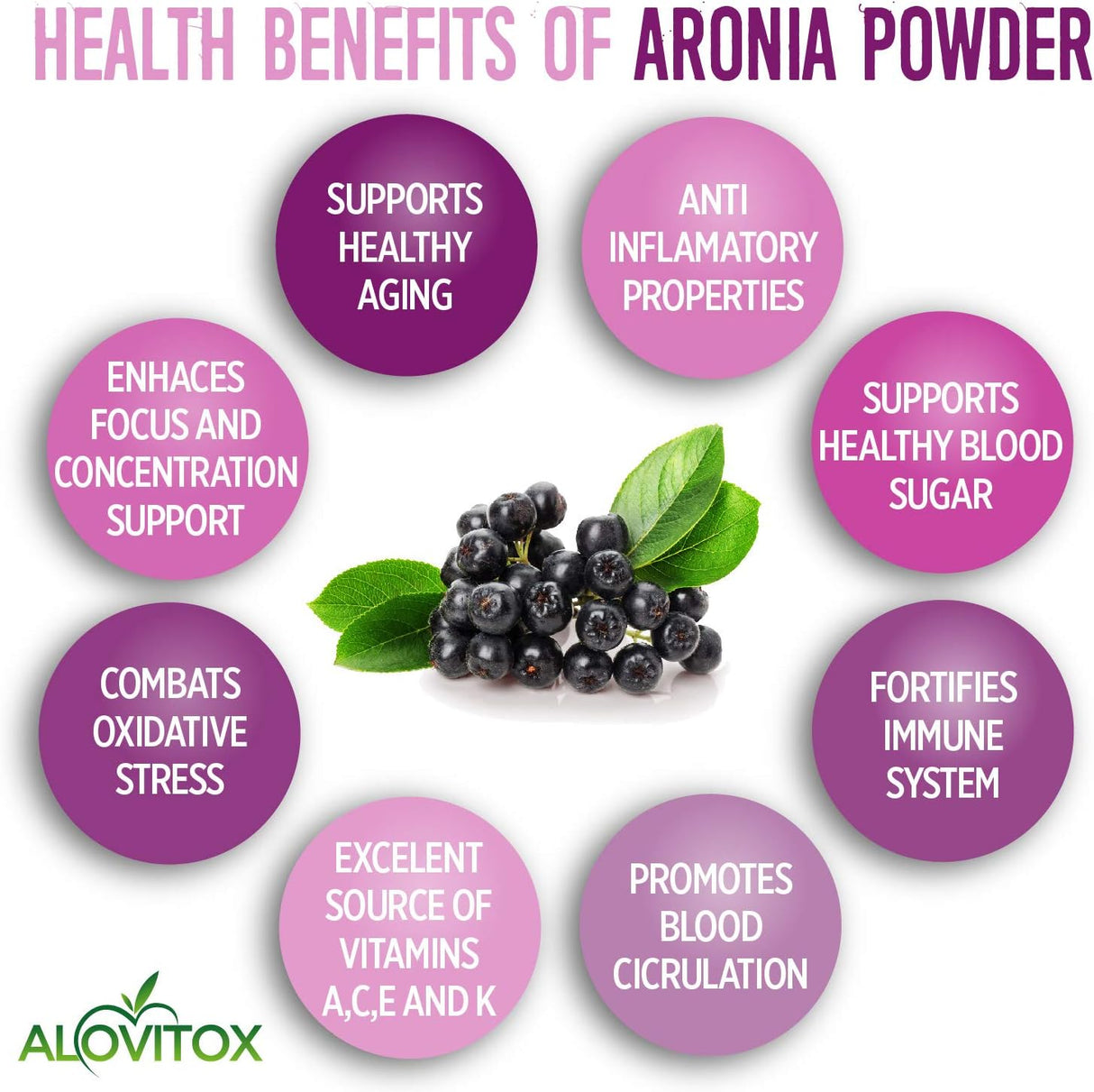 Suplemento Aronia Berry Powder Jugo denso antioxidante