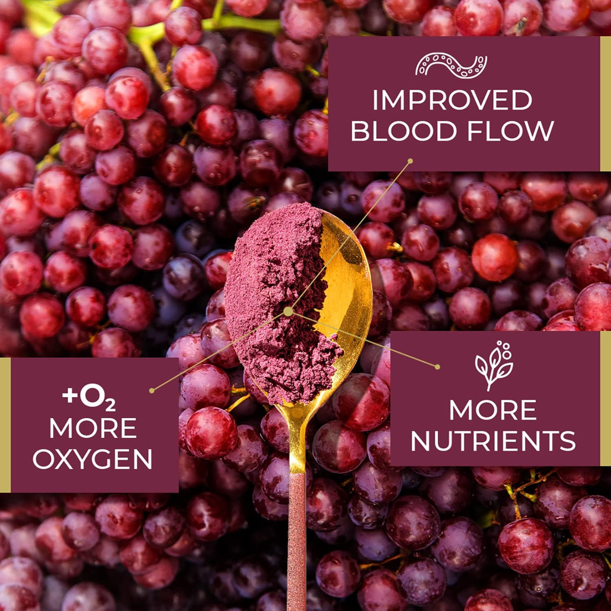 Suplementos Alimenticios Resveratrol de piceida de absorción