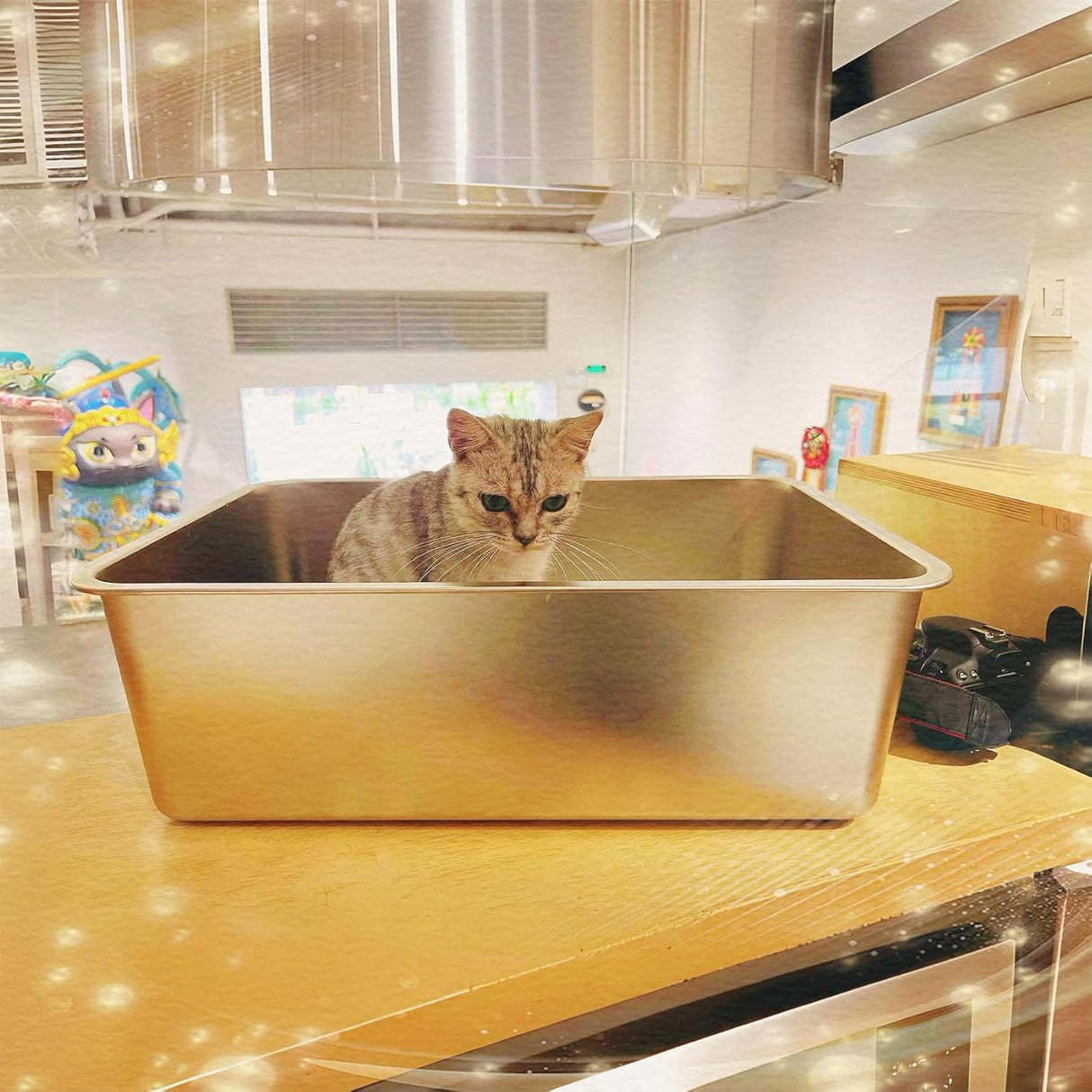 Caja de arena grande acero inoxidable con lado alto IKITCHEN