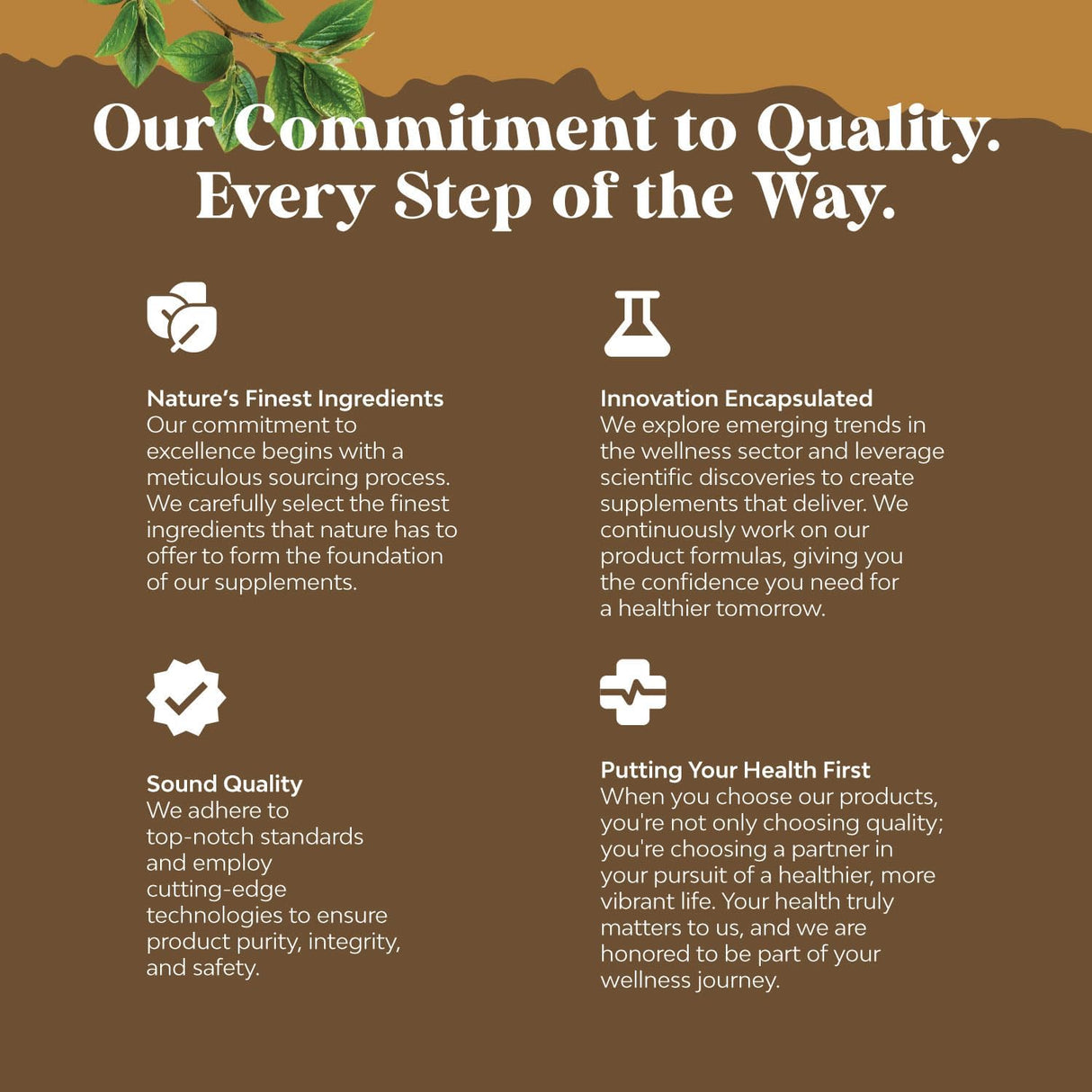 Cápsulas de Hongos Melena de León Extracto Nootrópico