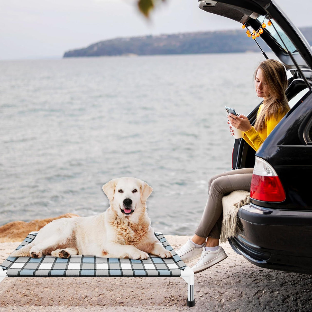 Cama Elevada para Perro Taste Life - Resistente y Cómoda