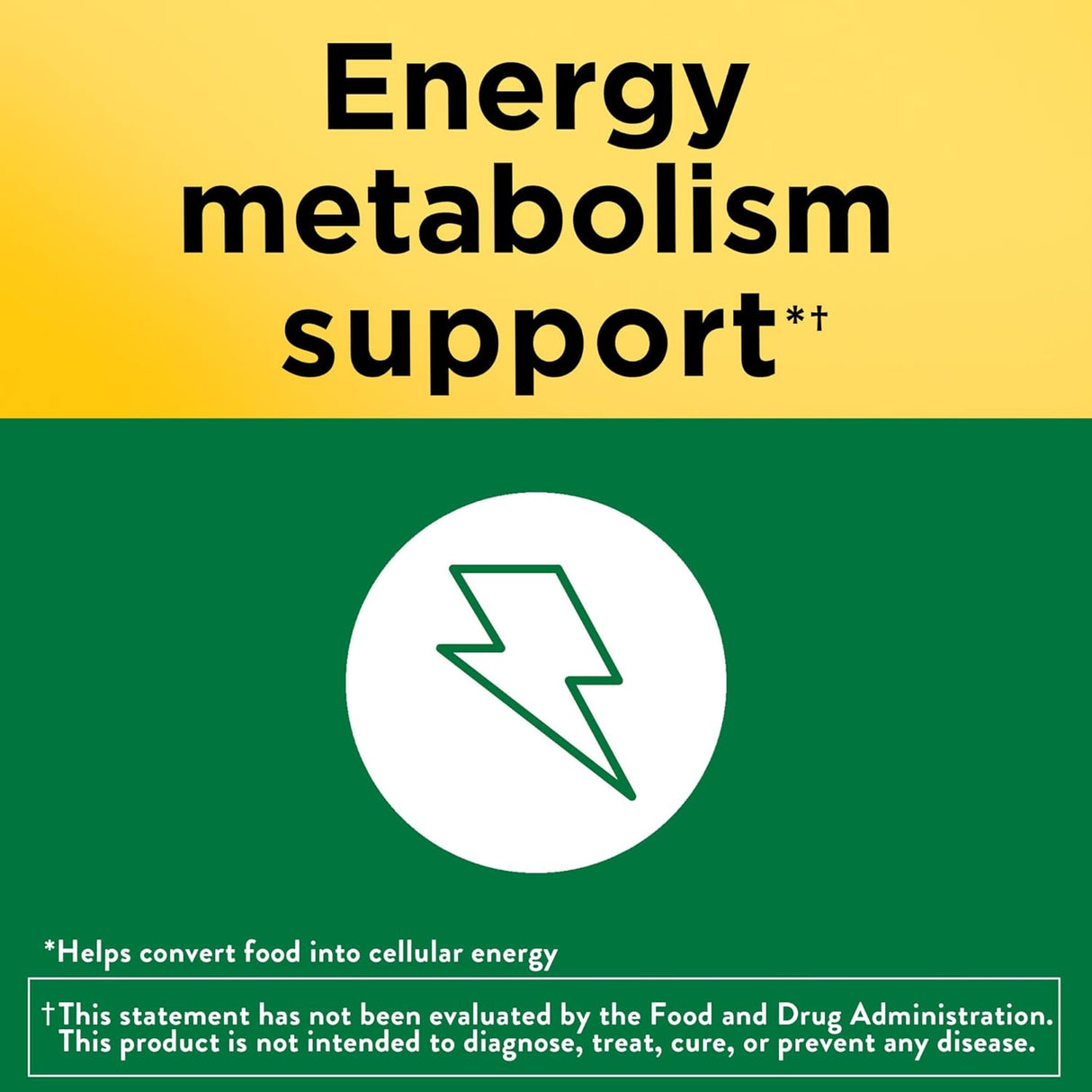 Suplementos Alimenticios dietético para soporte cerebrales