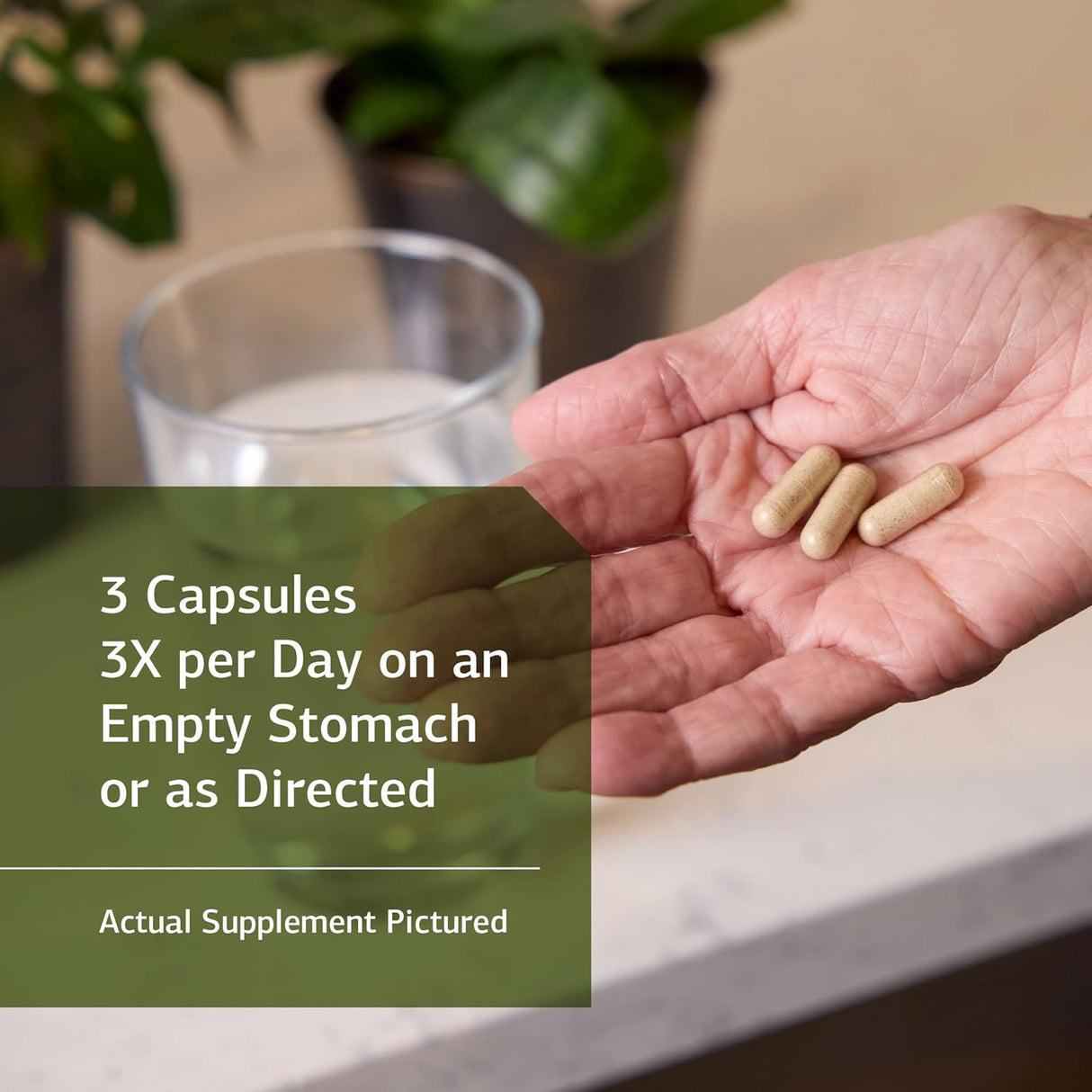 Suplementos de alimentos integrales y salud intestinal