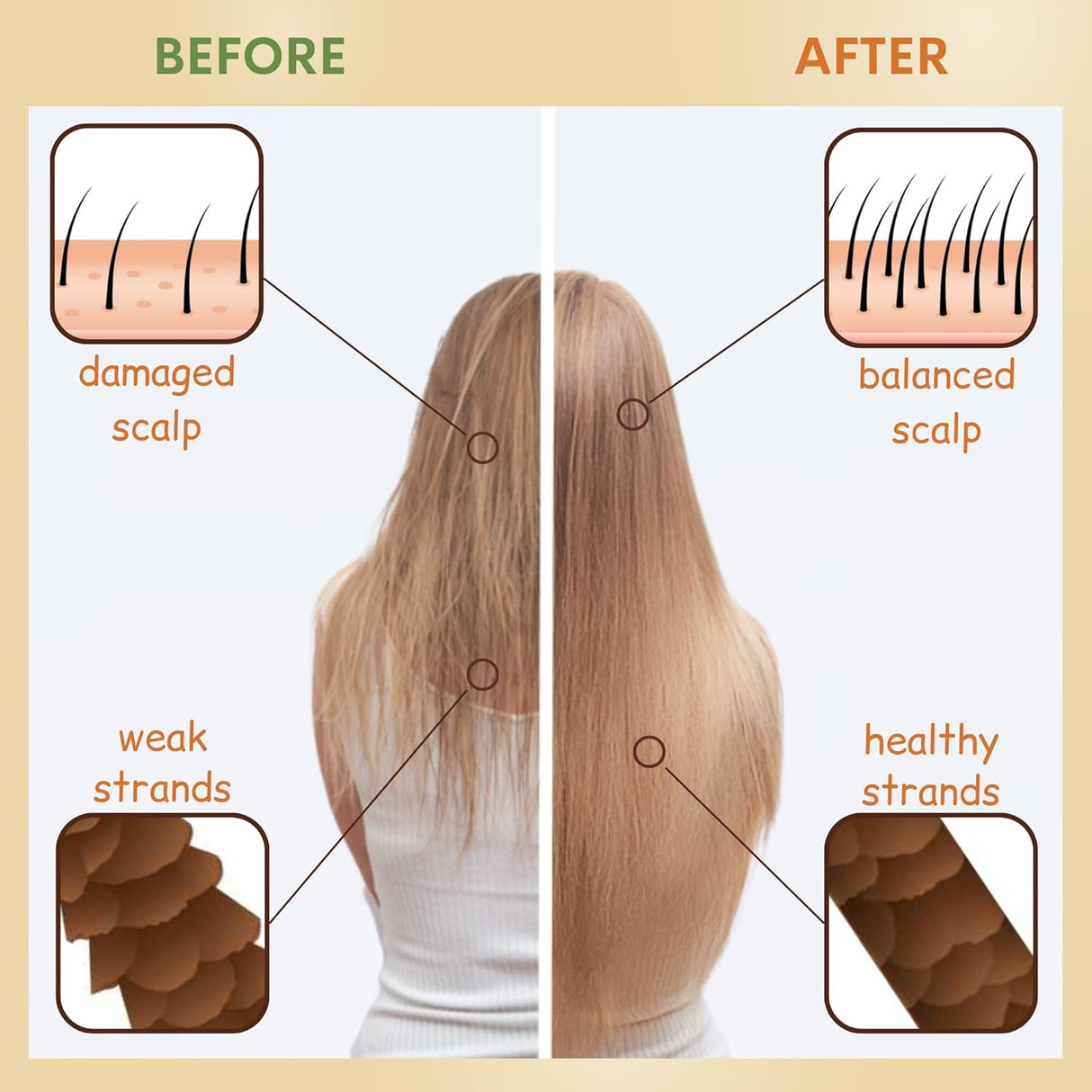 Champú y acondicionador de agua de arroz para el crecimiento