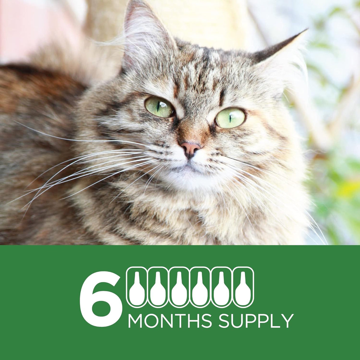 Tratamiento contra pulgas para gatos grandes de 9 libras