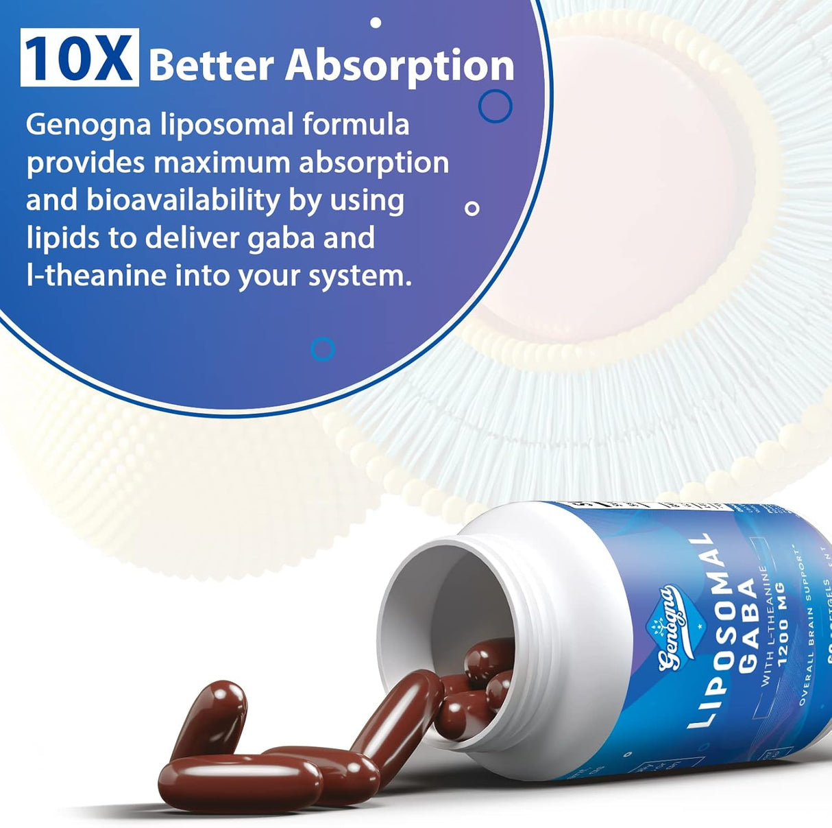 Suplemento de L-teanina de 1200 mg Genogna