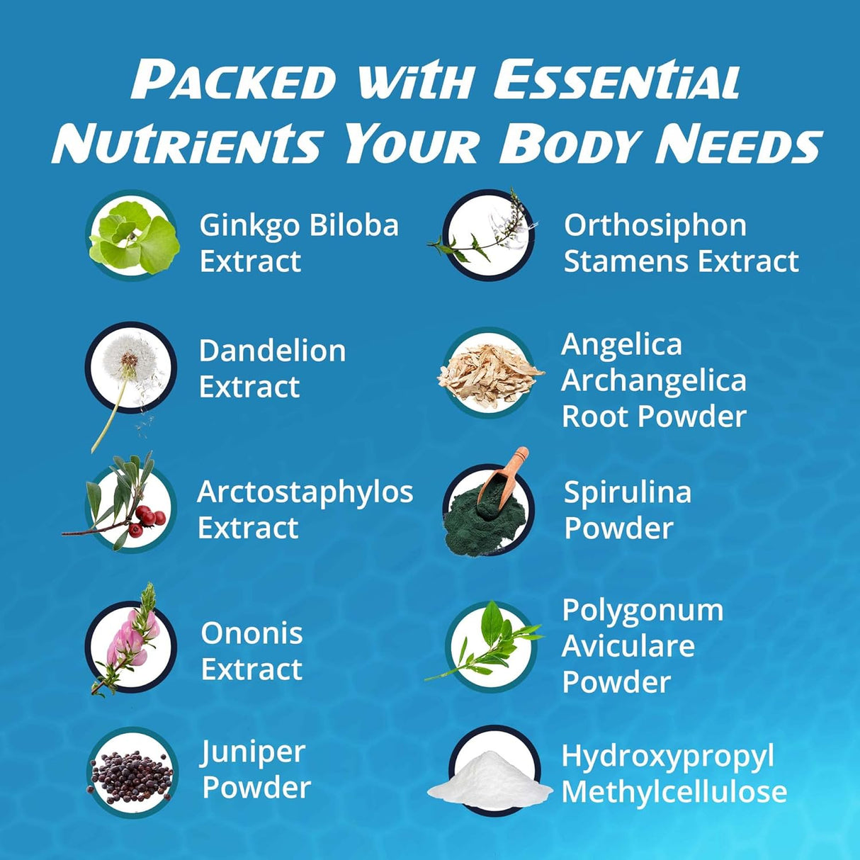 Suplemento de salud renal para limpieza RaDoTech