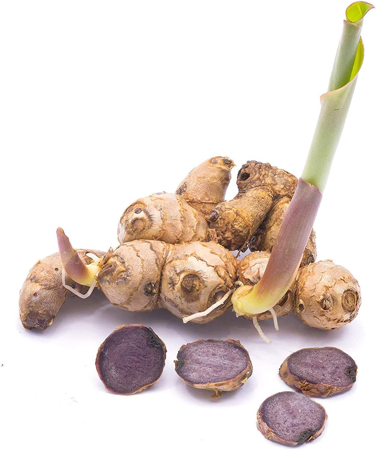 Suplemento Wellness Jengibre negro tailandés liofilizado