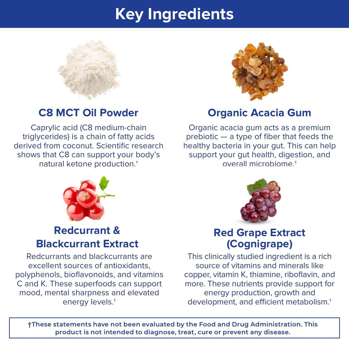 Suplementos MCT Wellness Polvo para apoyar la energía 252g