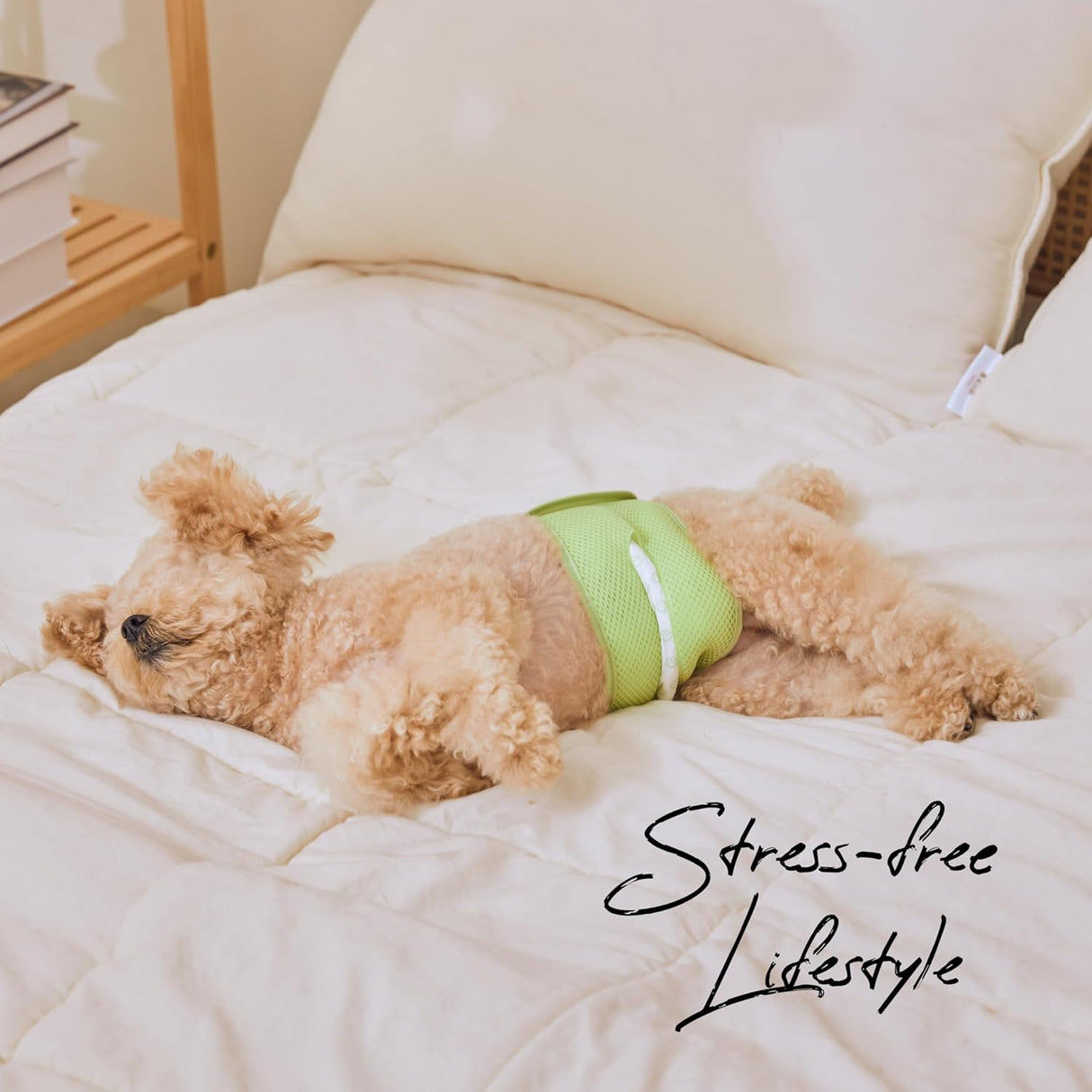 WICKEDPUP Kit de banda para el vientre para perros machos, 50 almohadillas