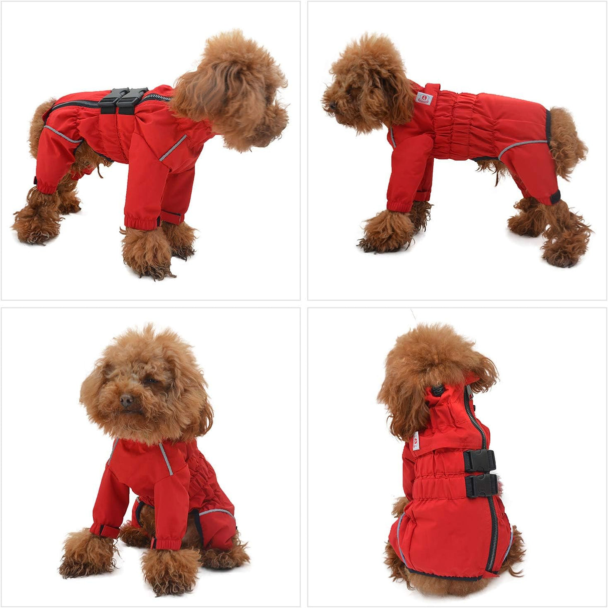 Chaqueta Impermeable para Perros, Ligera, Reflectante, XL