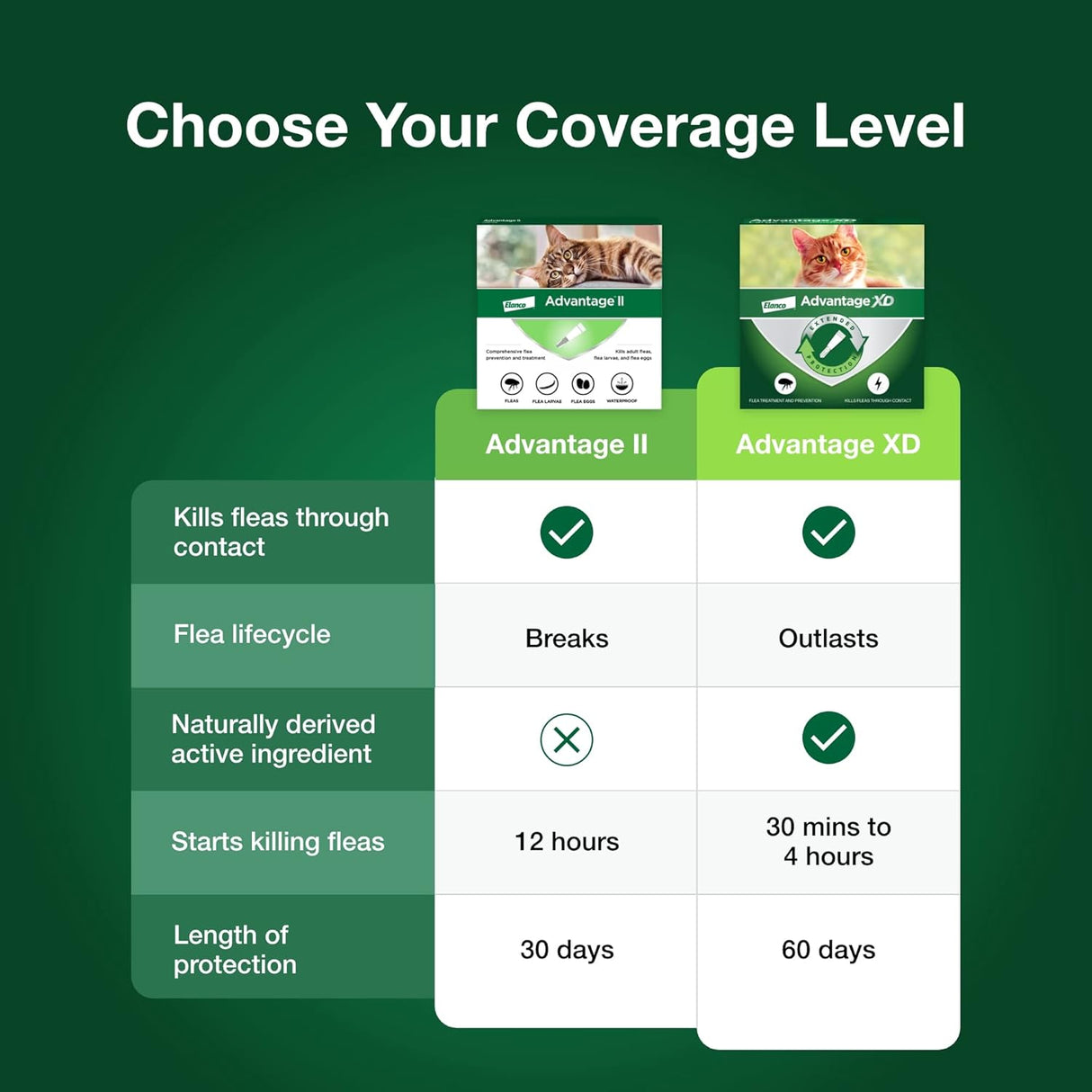 Tratamiento y prevención de pulgas