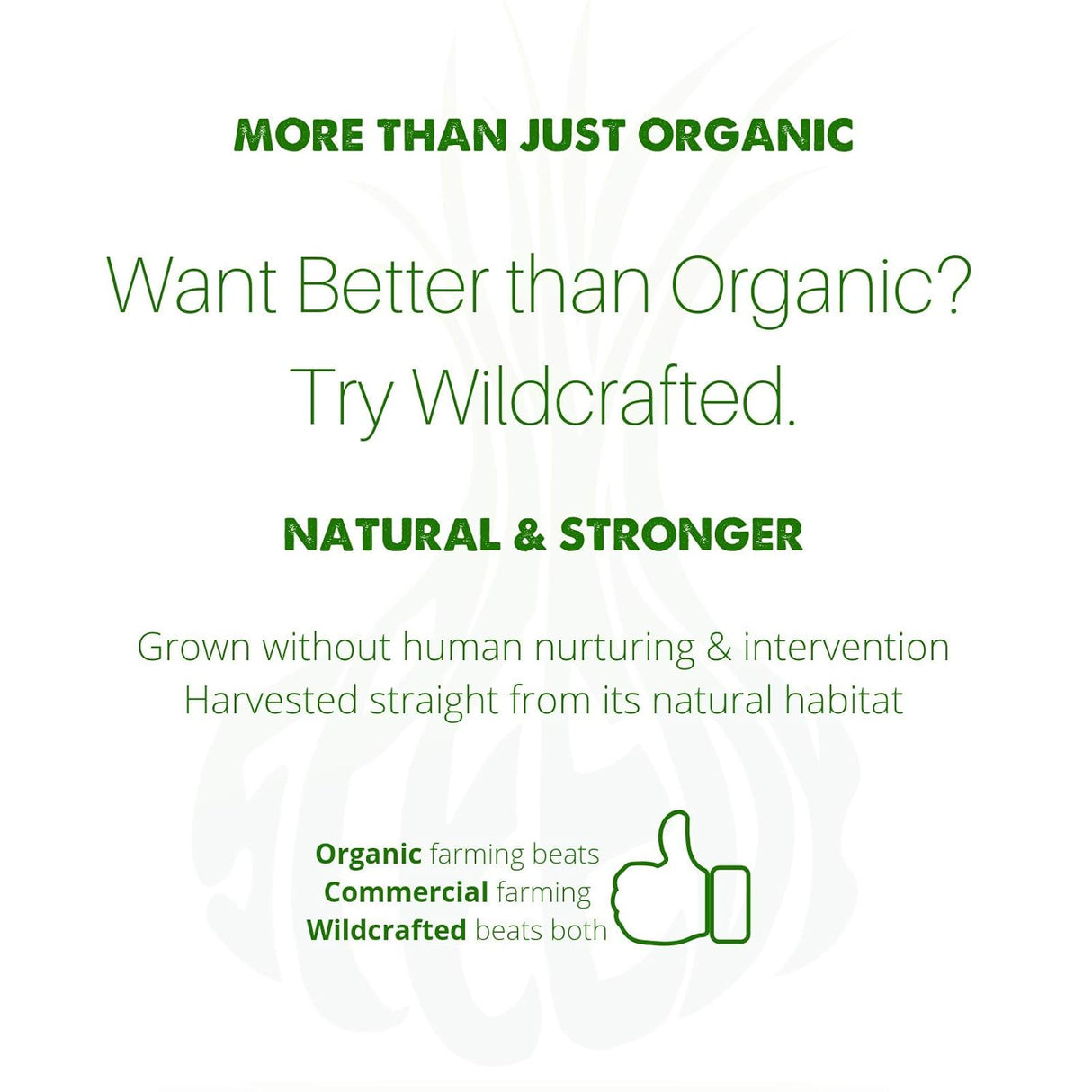 Suplementos Alimenticios de hierbas naturales limpiador