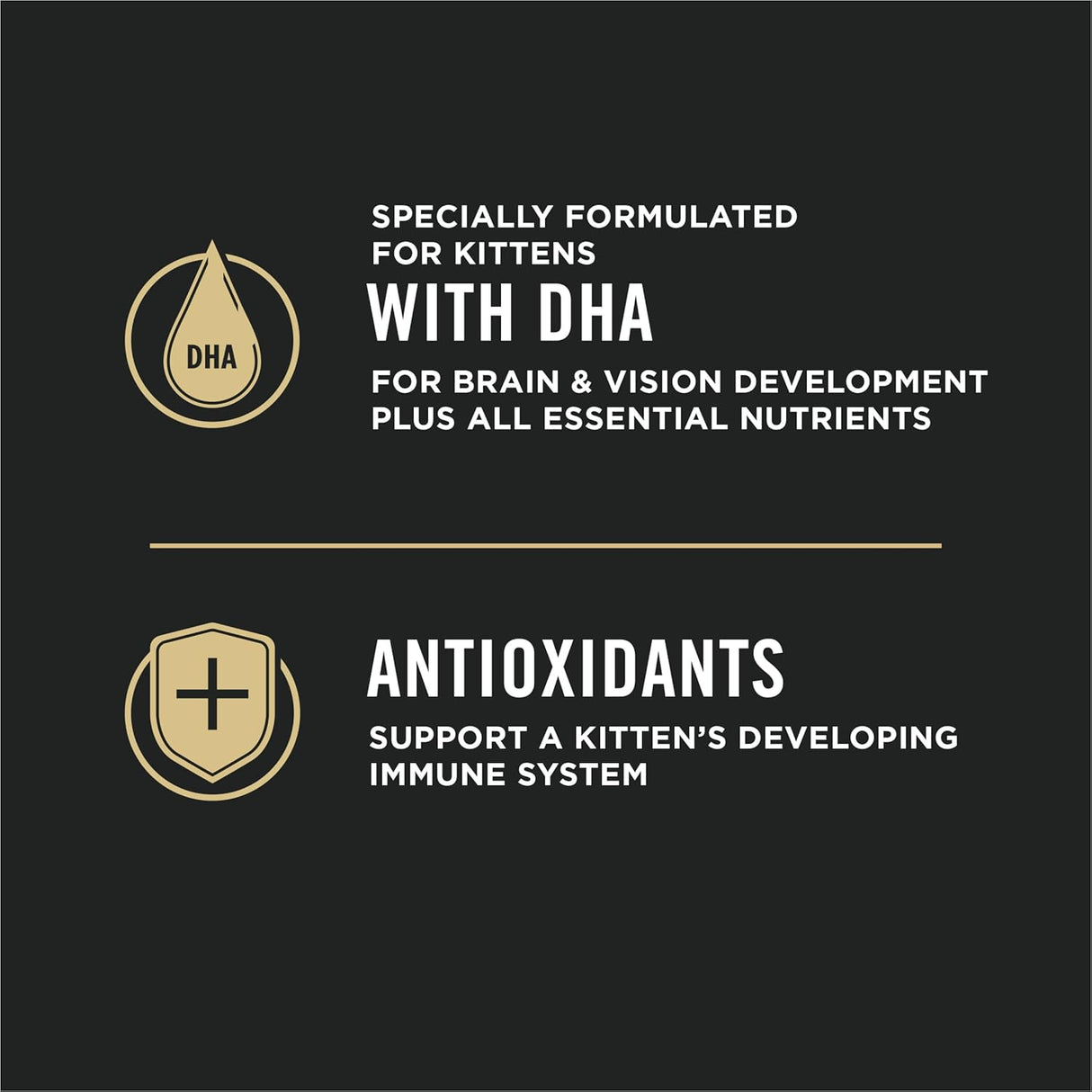 Alimento seco para gatos para gatitos fórmula de pollo