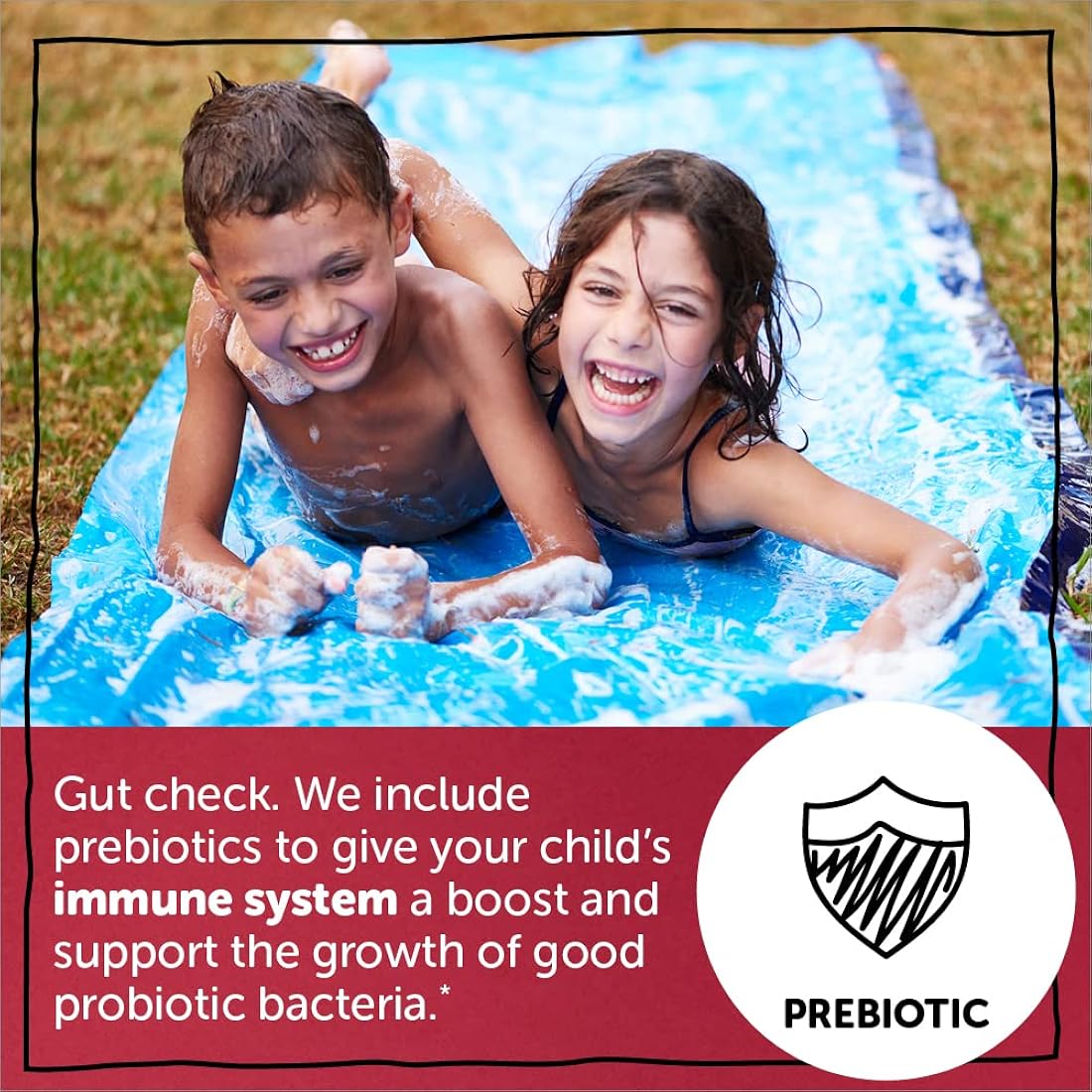 Suplementos Alimenticios Probiótico