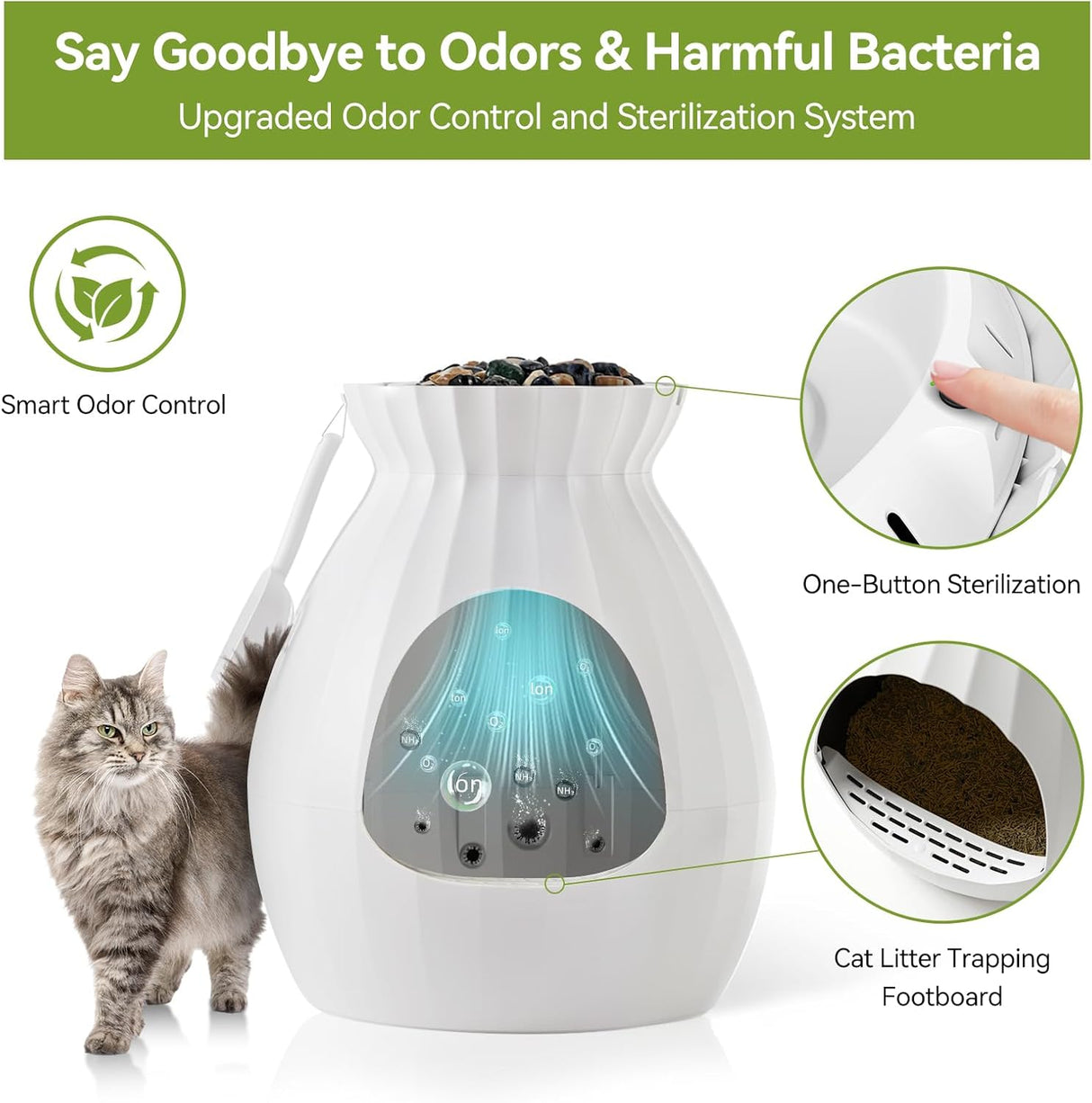 Caja de arena para plantas mejorada Petterm