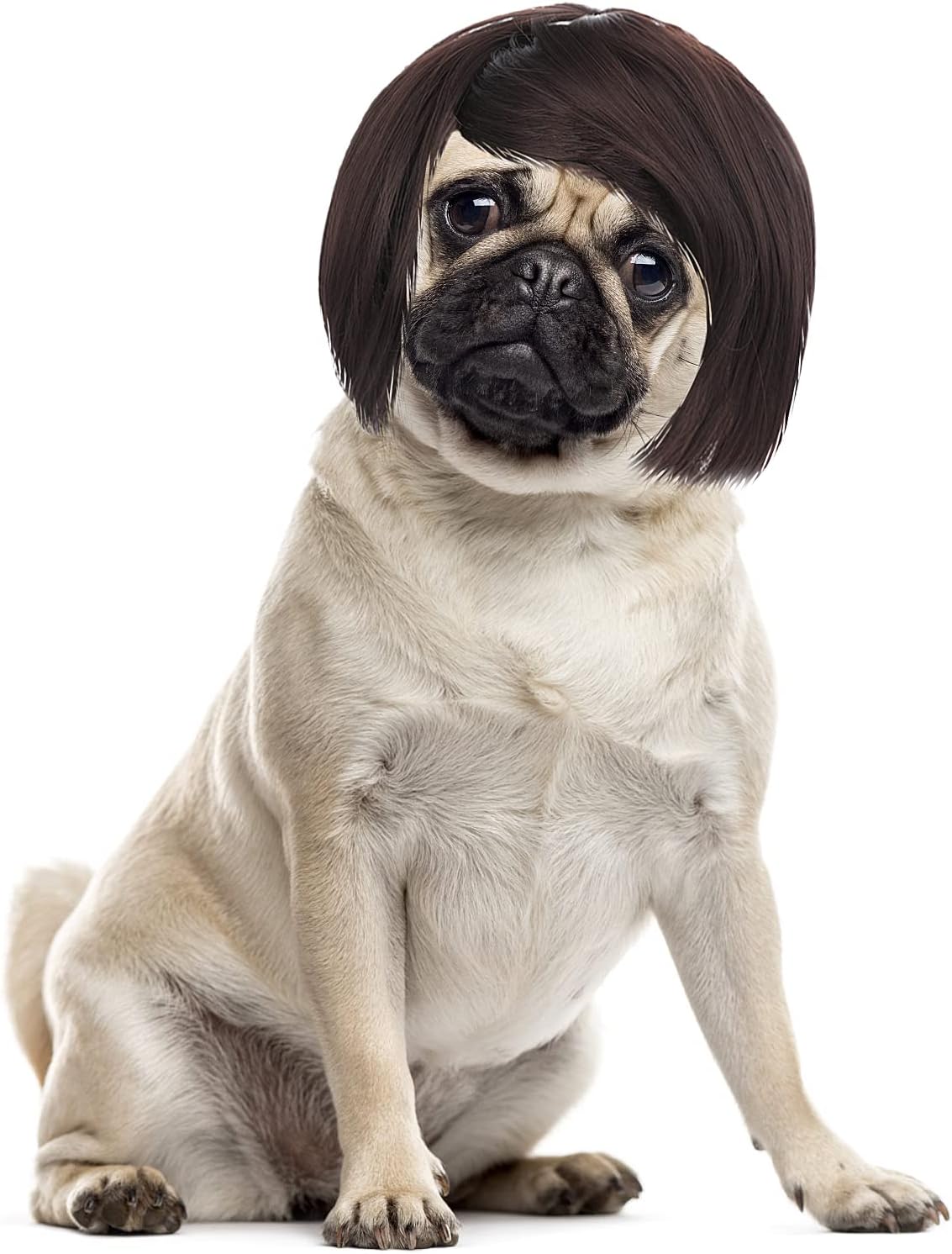 Cobee Divertida peluca de cosplay para perros y gatos, peluca ajustable para mascotas, disfraz divertido para mascotas, disfraz para perros pequeños, medianos y grandes, decoraciones de disfraces para Halloween, Navidad, fiestas, festivales