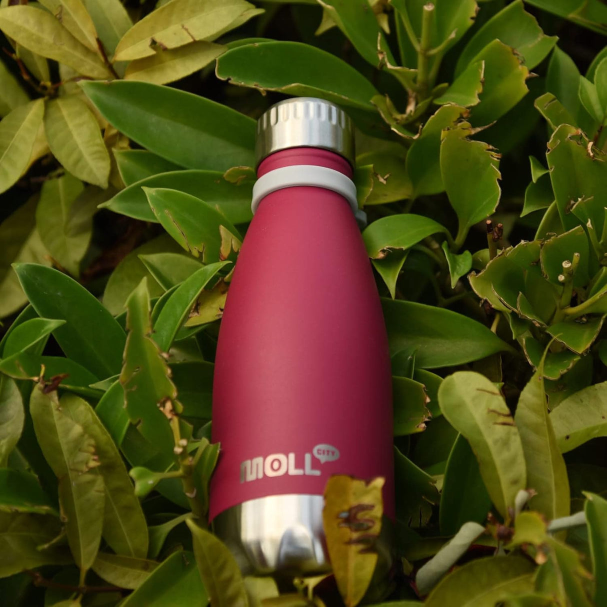 Botella de Agua 12 oz - Acero Inoxidable, Aislamiento, Niños