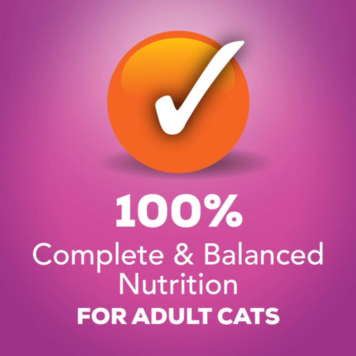 Alimento para Gatos 5.5 oz Paquete variado