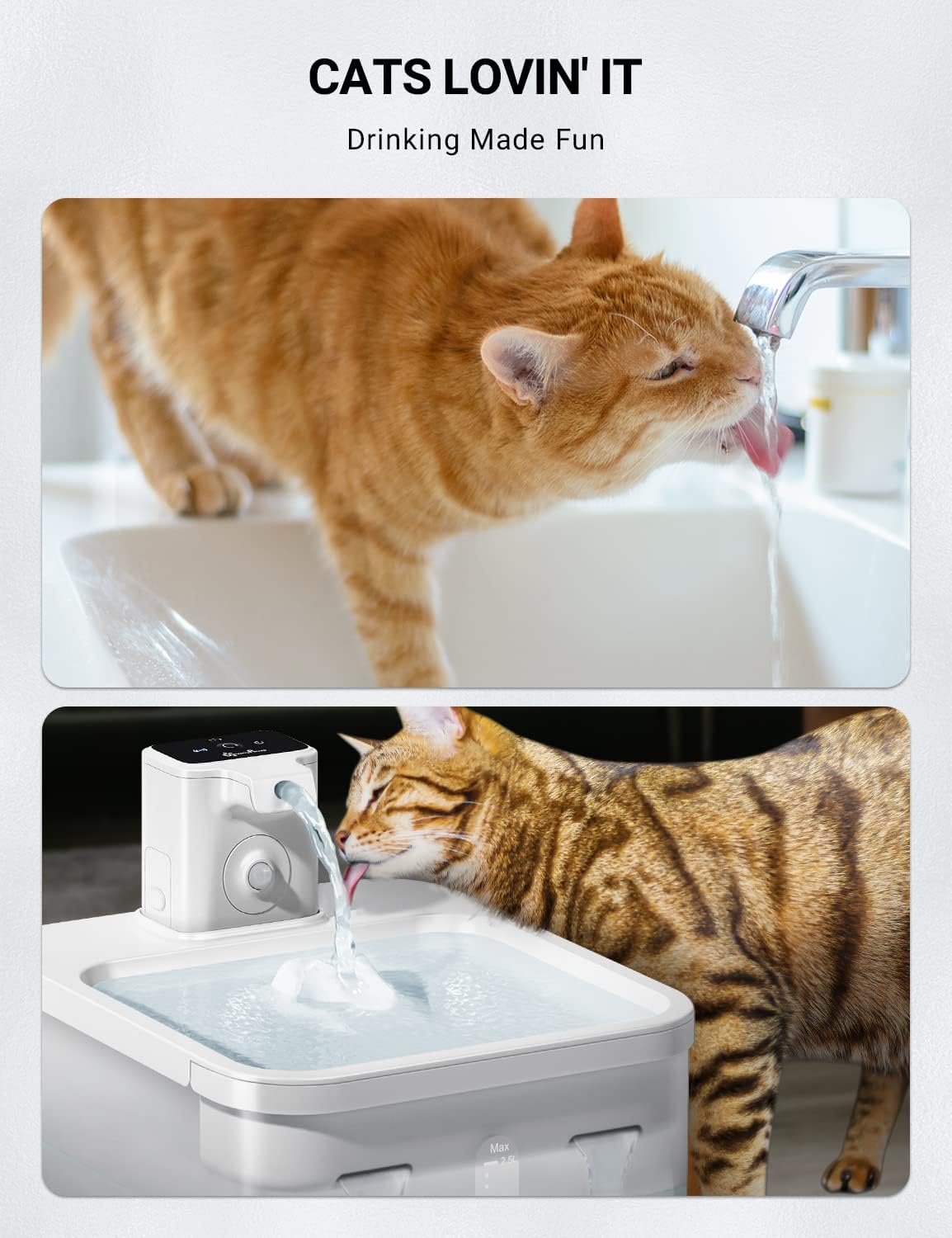 Filtros de fuente de agua para gatos para DownyPaws DPWFP6