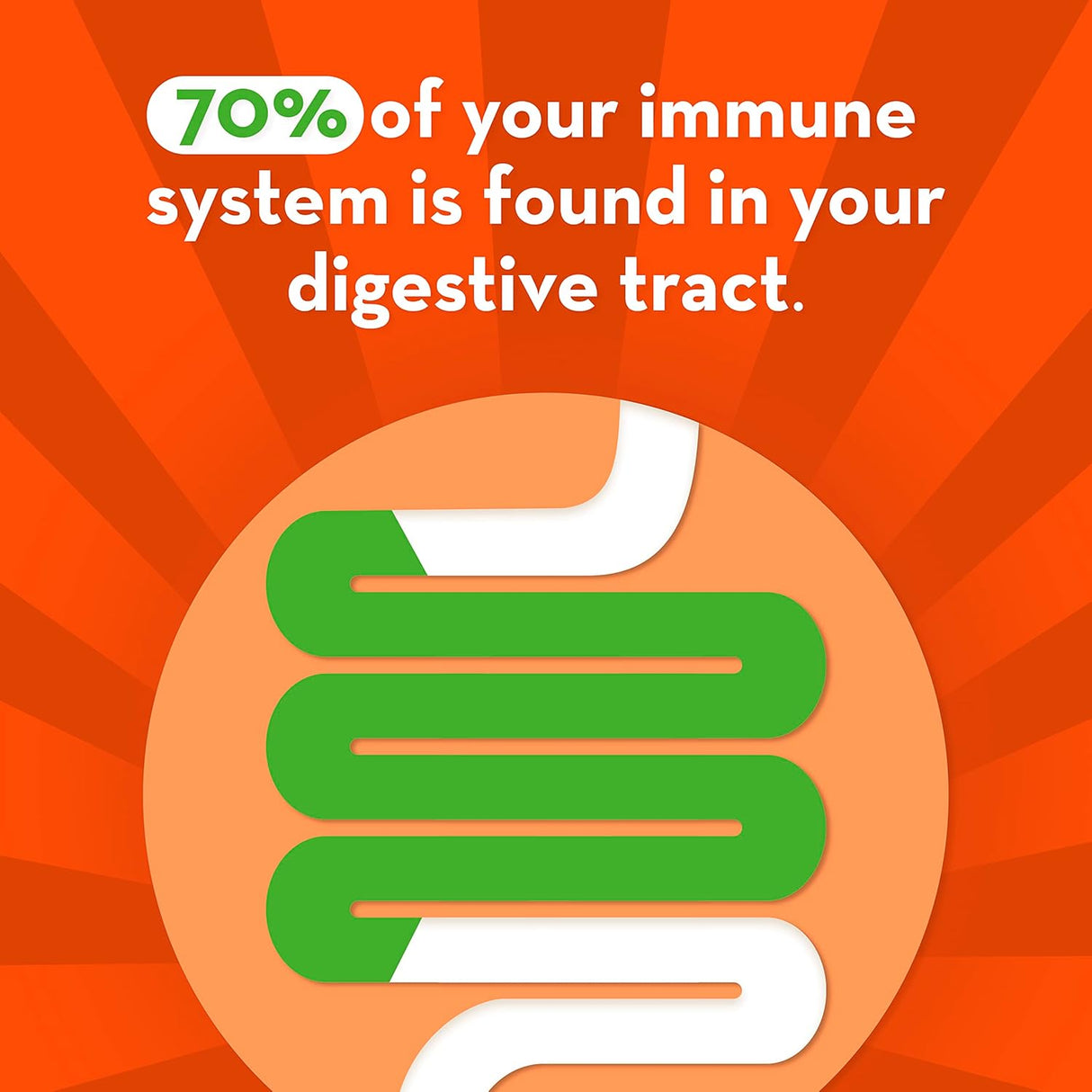 Suplementos Probiótico para la salud intestinal 28 cápsulas