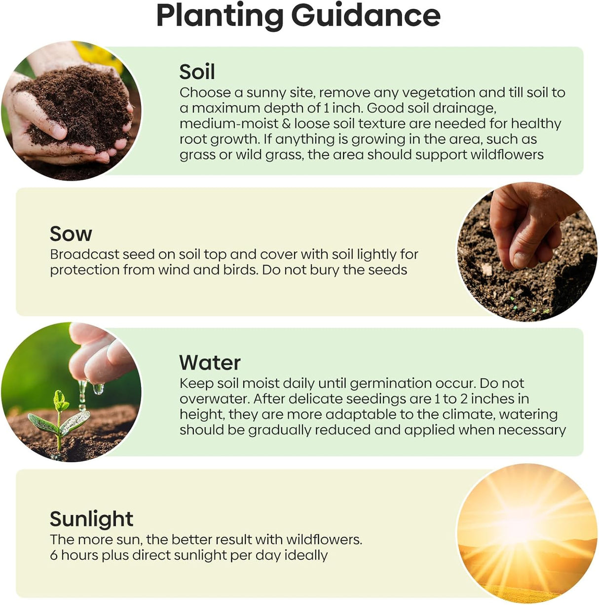 Mezcla de Semillas Silvestres para Colibríes y Mariposas