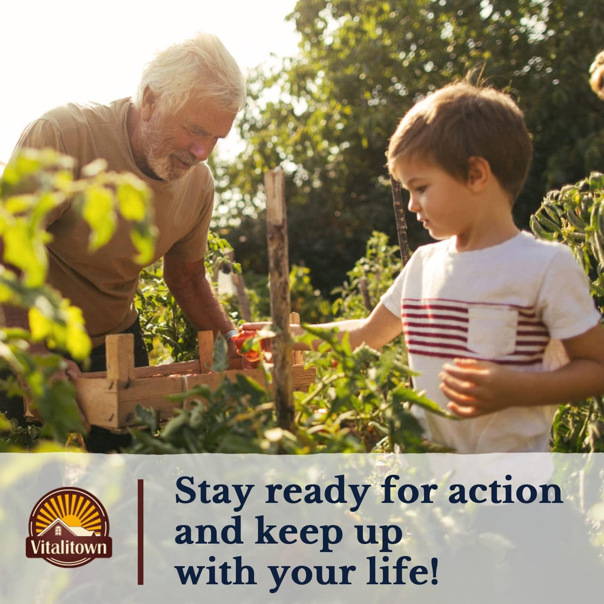 VITALITOWN Glucosamina condroitina MSM colágeno