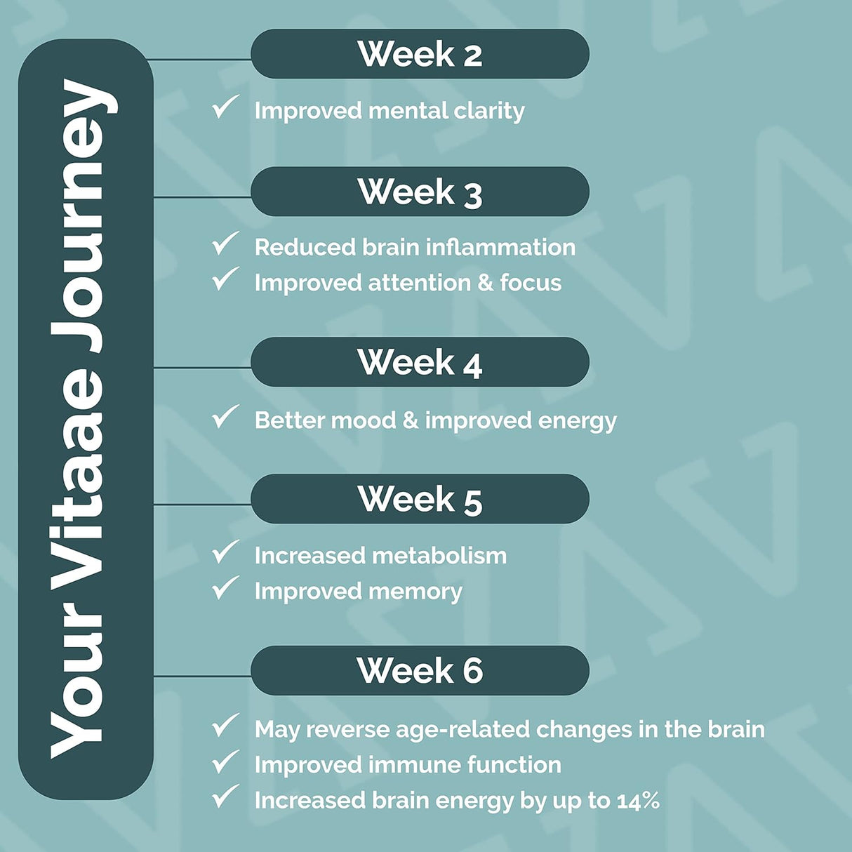 Suplementos Alimenticios cerebrales para la memoria