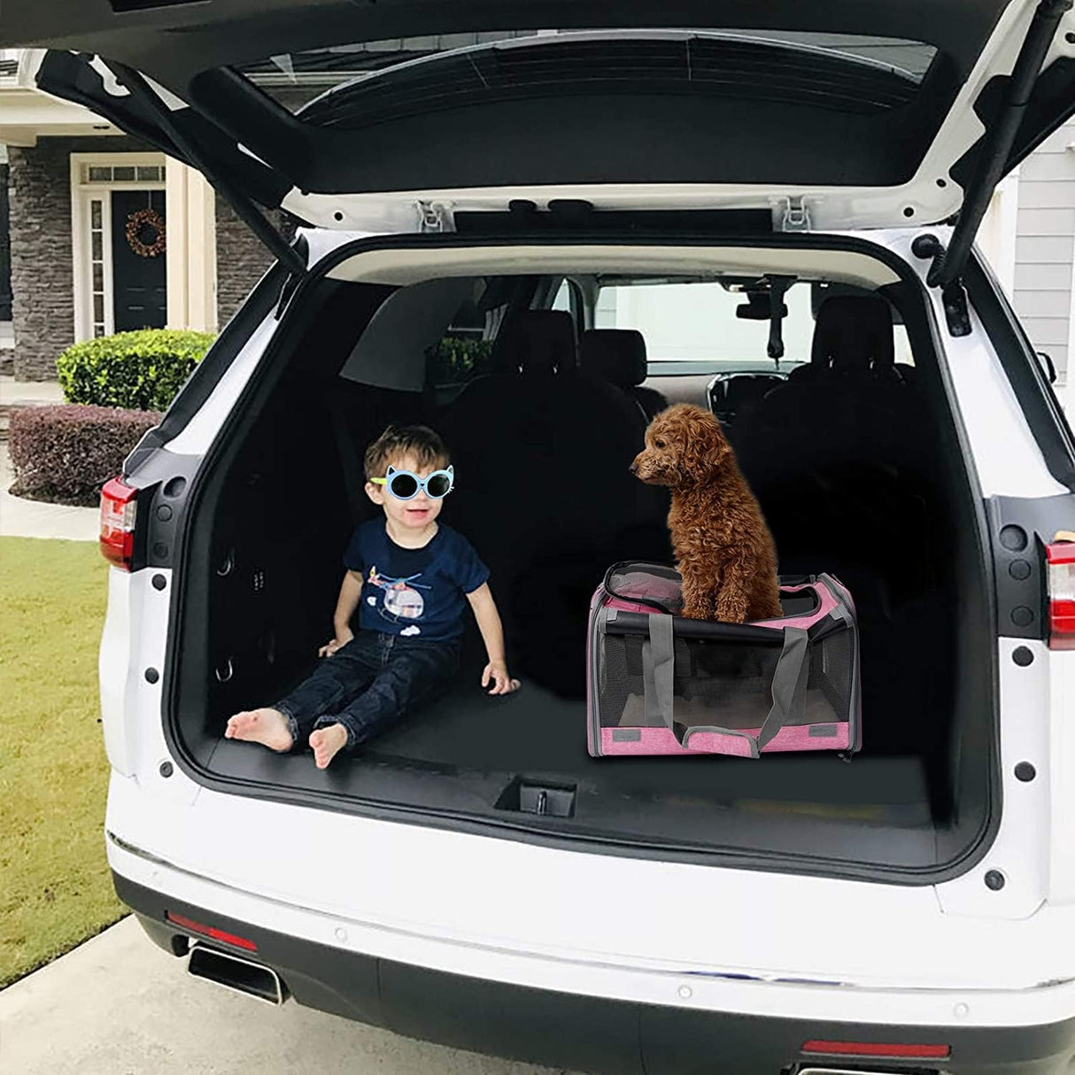 Transportín Suave para Gatos Grandes y Medianos, Modelo Viaje