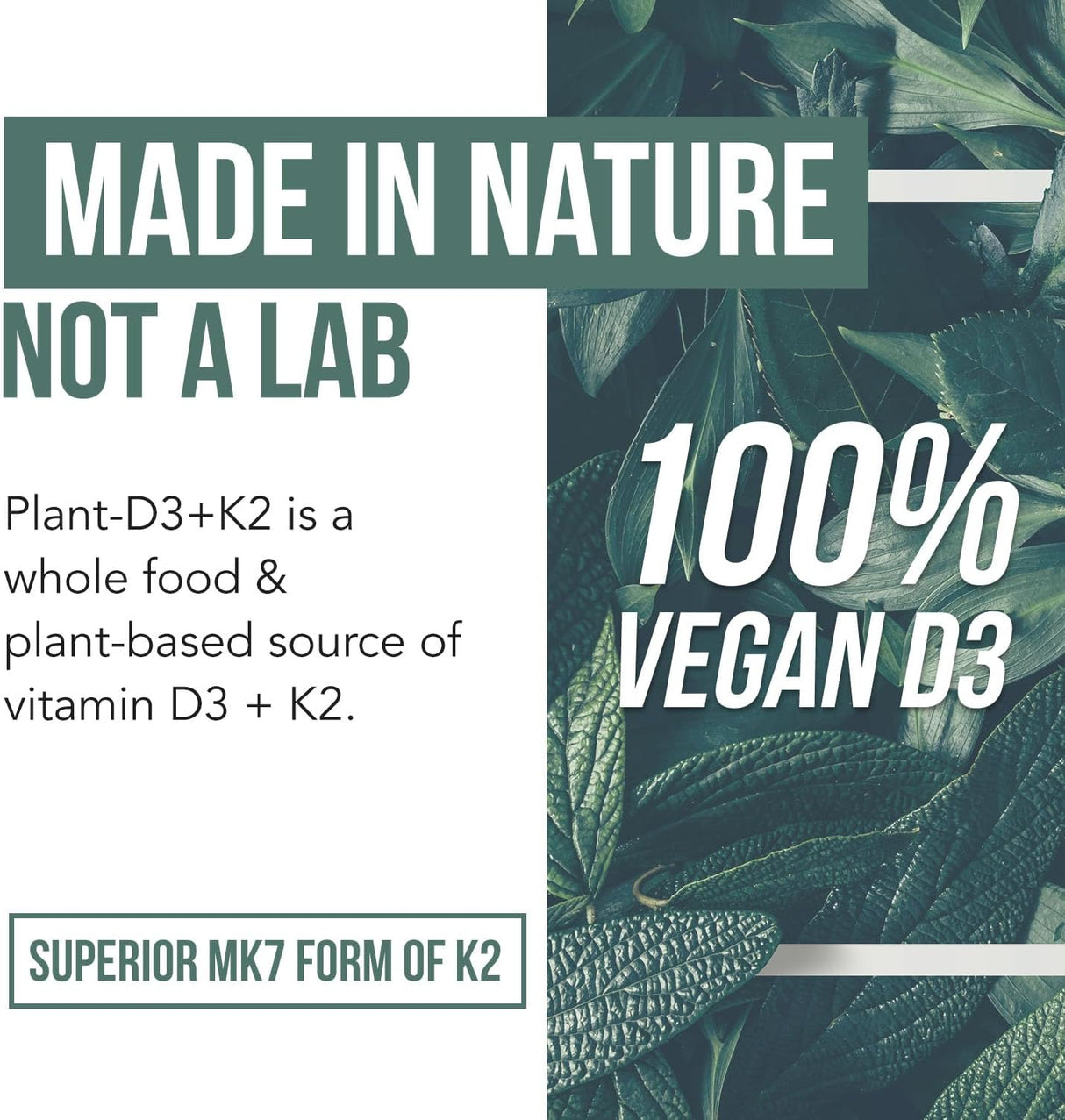 Planta orgánica D3 + K2 con prebióticos y superalimentos