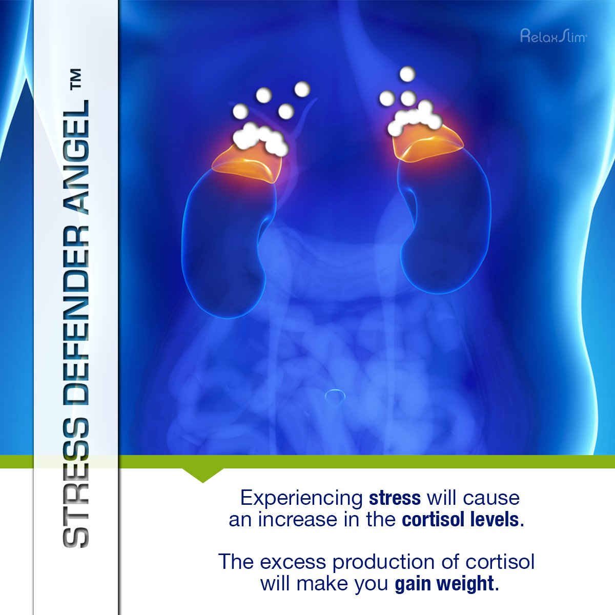 Suplemento antiestrés NaturalSlim para mejorar su metabolism