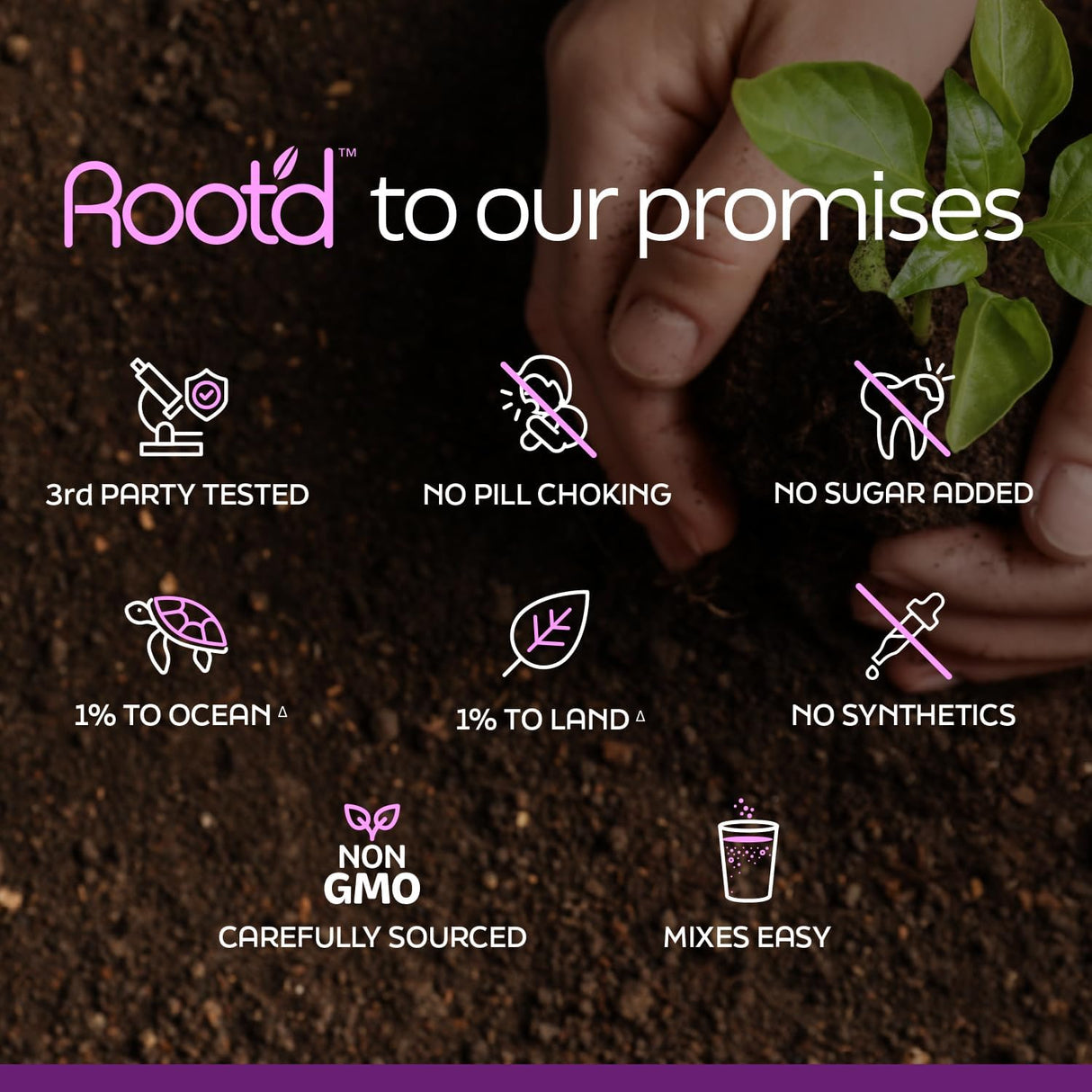 Root'd Multivitamin Prenatal en Polvo - 25 vitaminas, minerales y electrolitos, 30 sobres