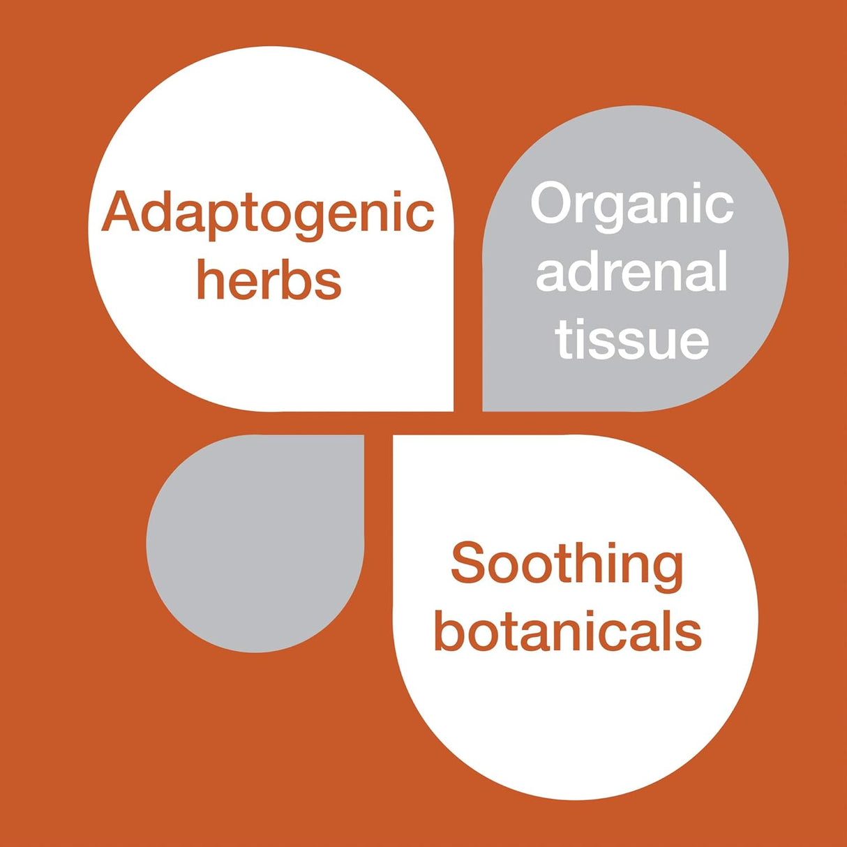 Suplementos Alimenticios tabletas de extracto 120 unidades
