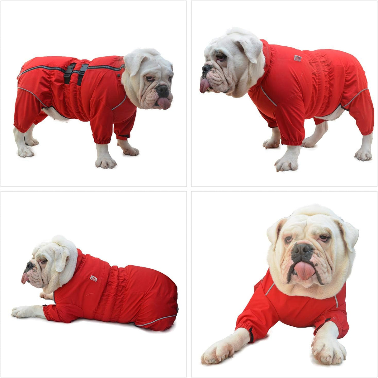 Chaqueta Impermeable para Perros, Ligera, Reflectante, XL