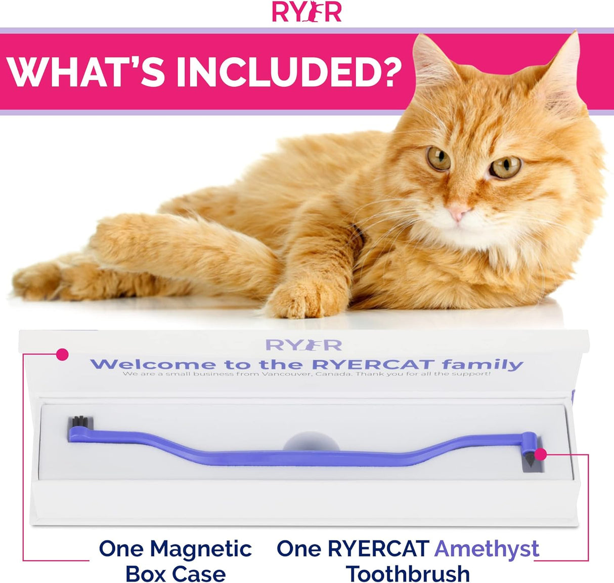 Cepillo de dientes para gatos muy pequeño