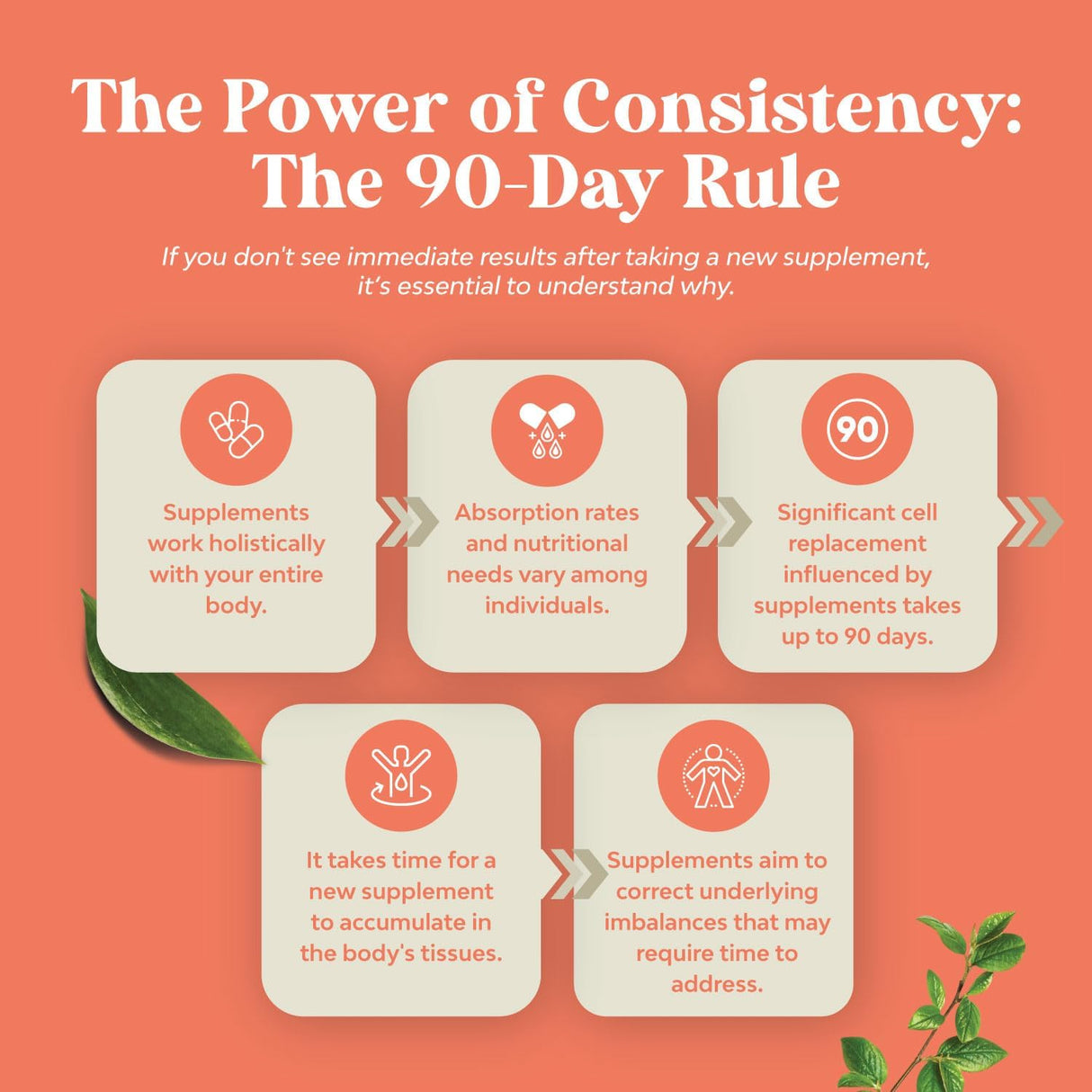 Suplemento de alto contenido de fibra vitaminas para adultos